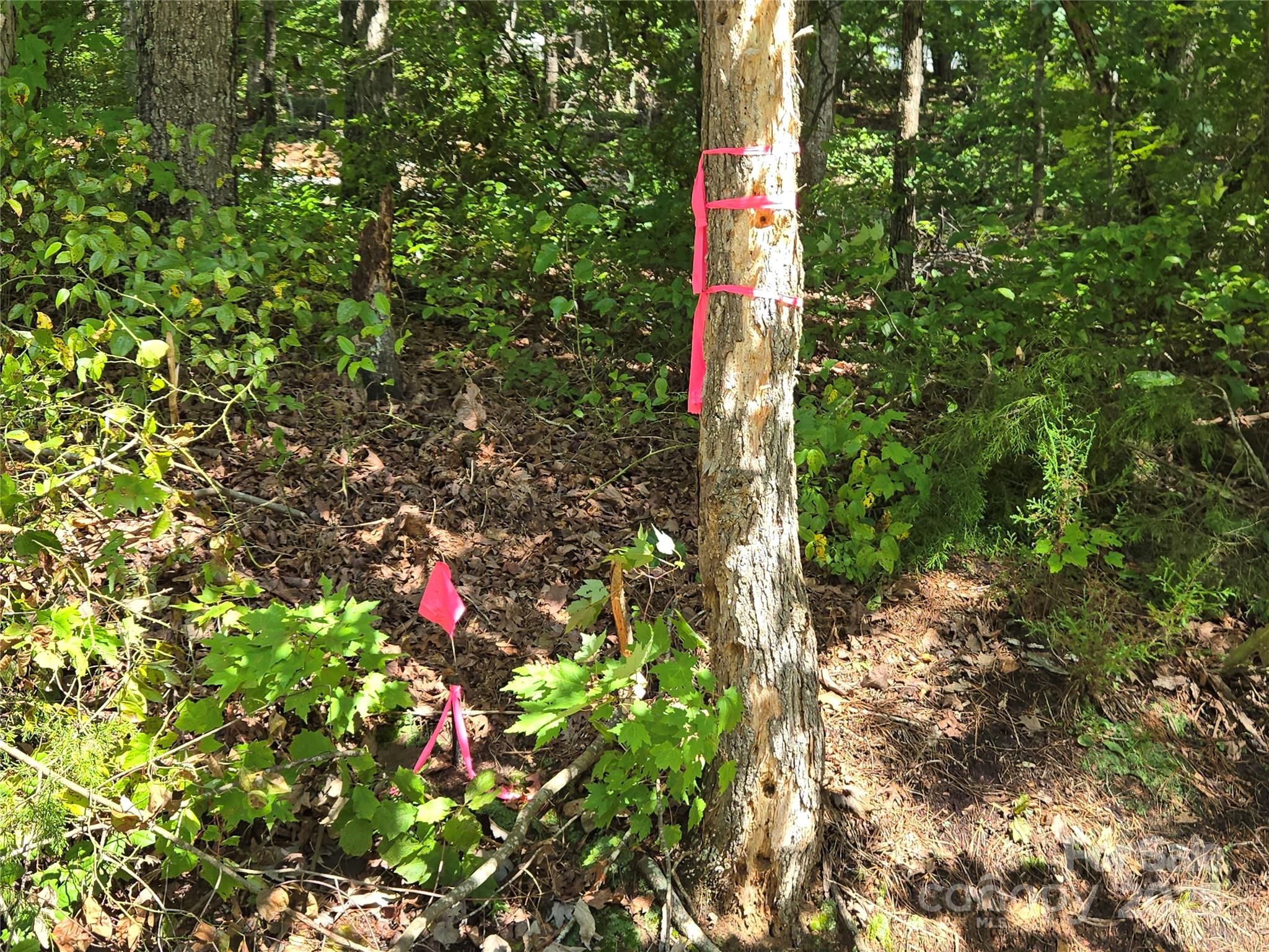 0 Lakeshore Drive 258 Property Photo 20