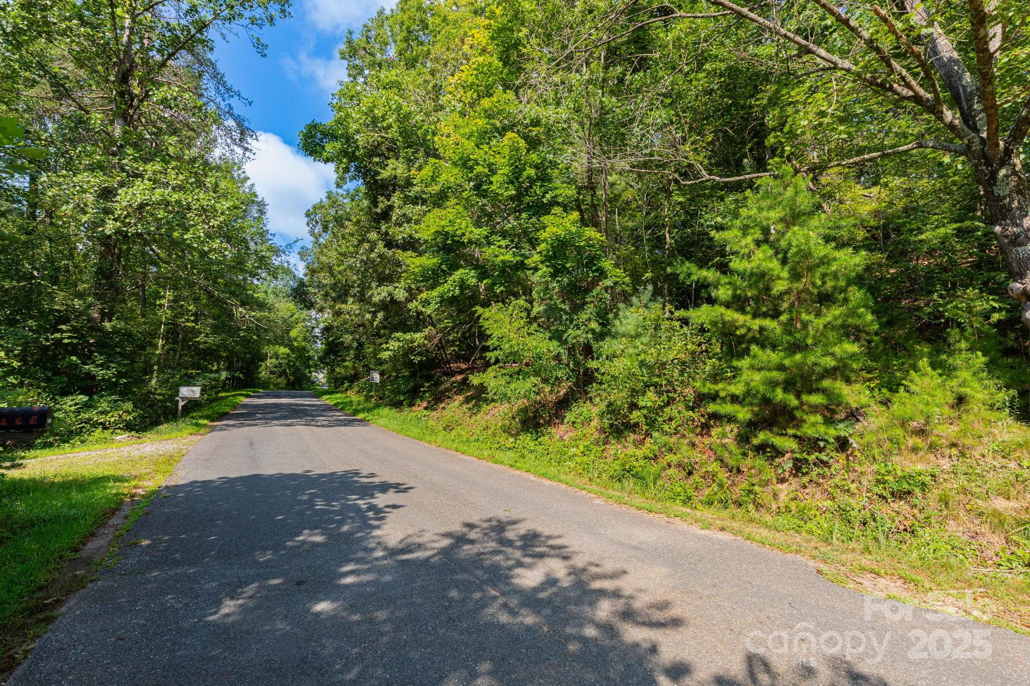 99999 Flynn Branch Road 1 Property Photo 3