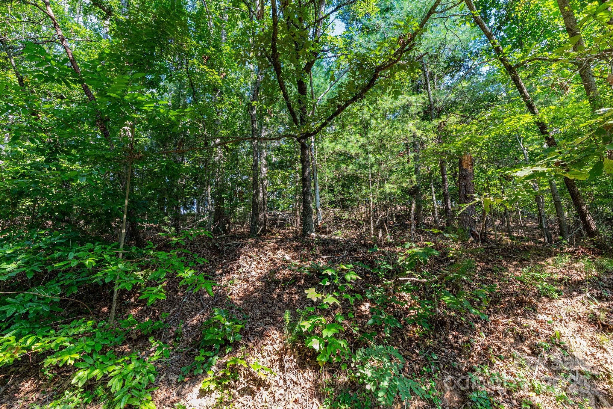 99999 Flynn Branch Road 1 Property Photo 4