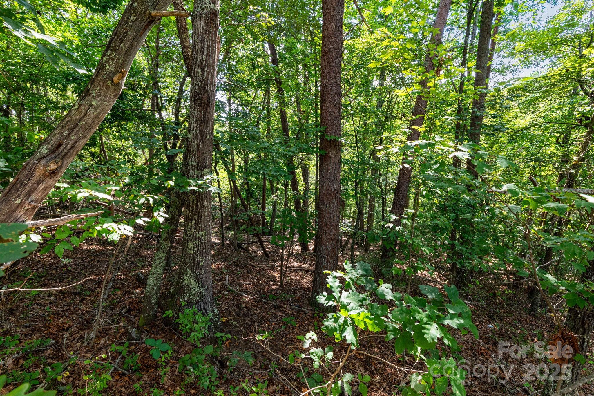 99999 Flynn Branch Road 1 Property Photo 10