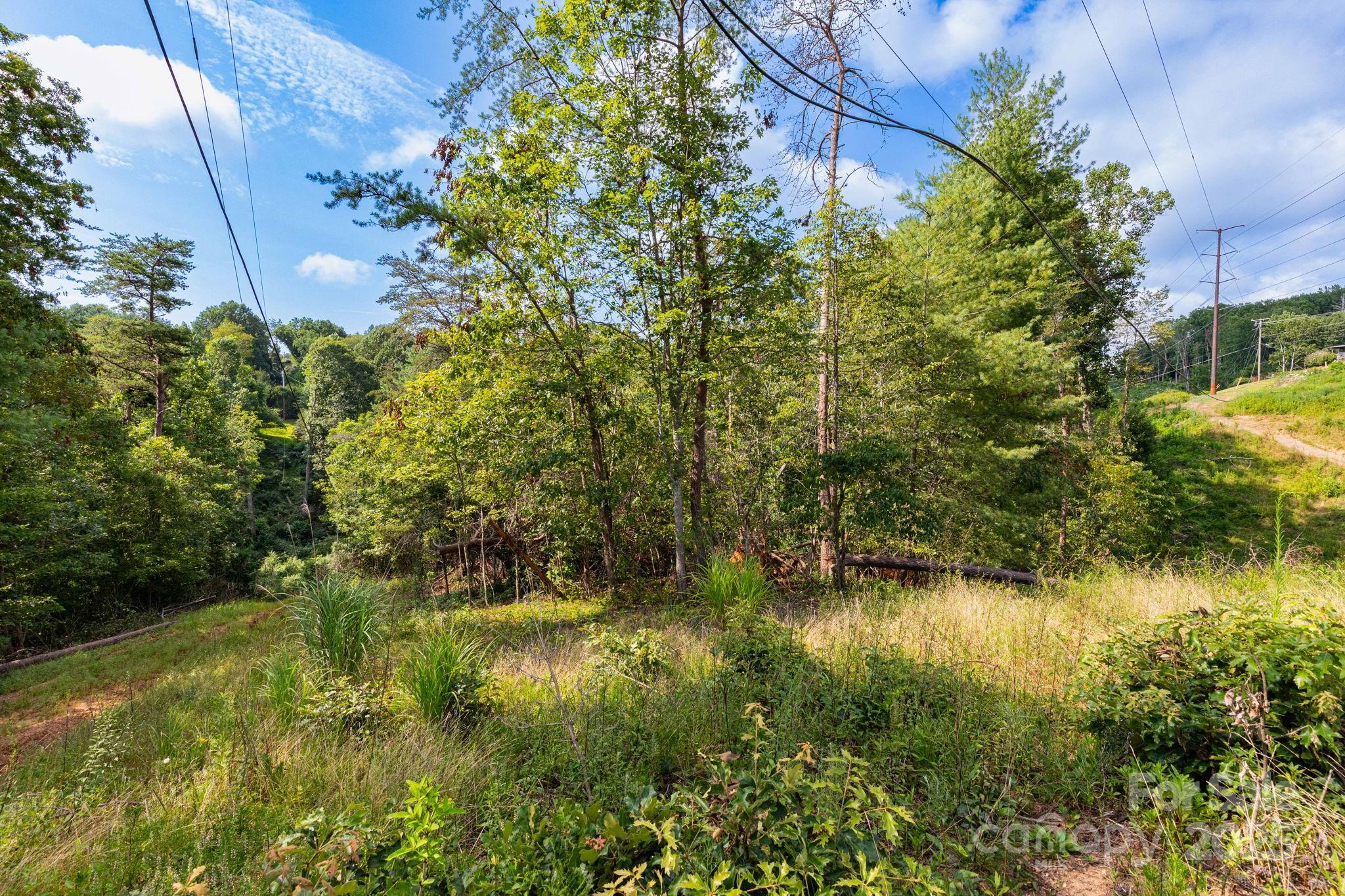 99999 Flynn Branch Road 2 Property Photo 9