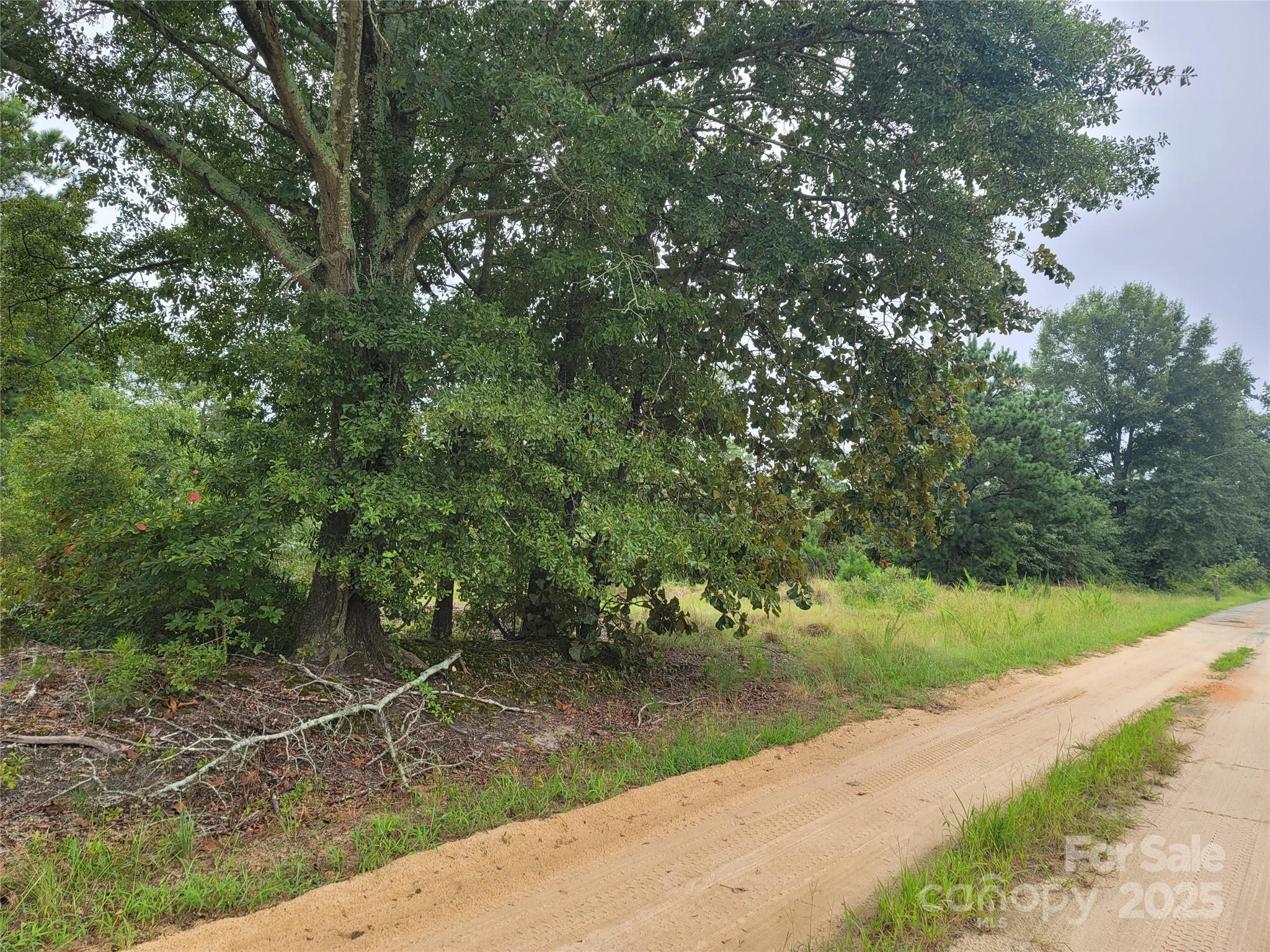 0 Windblow Road Property Photo 1