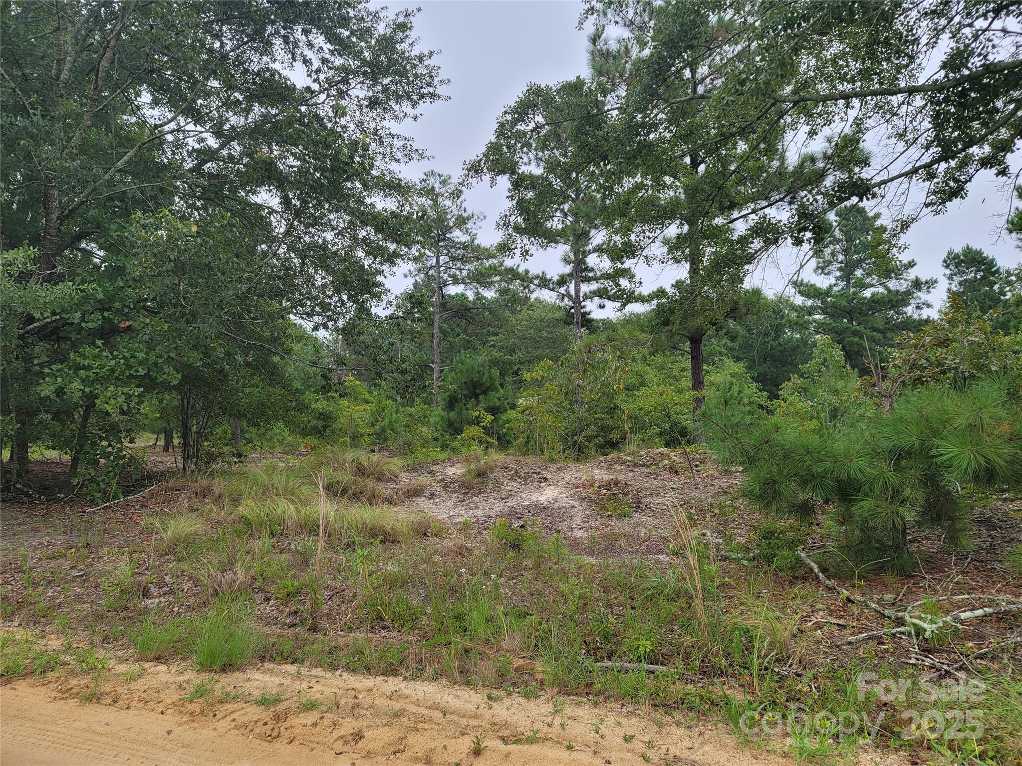 0 Windblow Road Property Photo 2