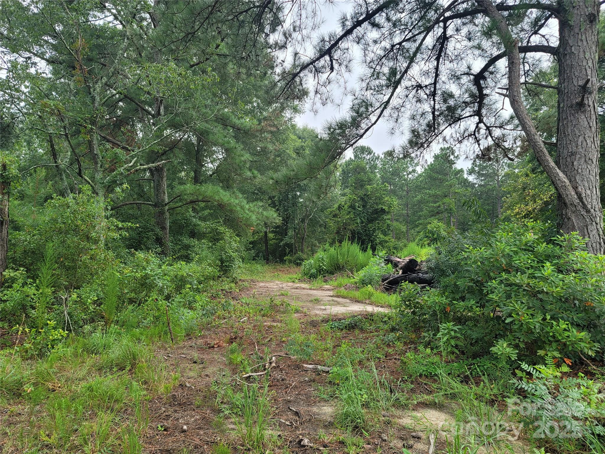 0 Windblow Road Property Photo 3