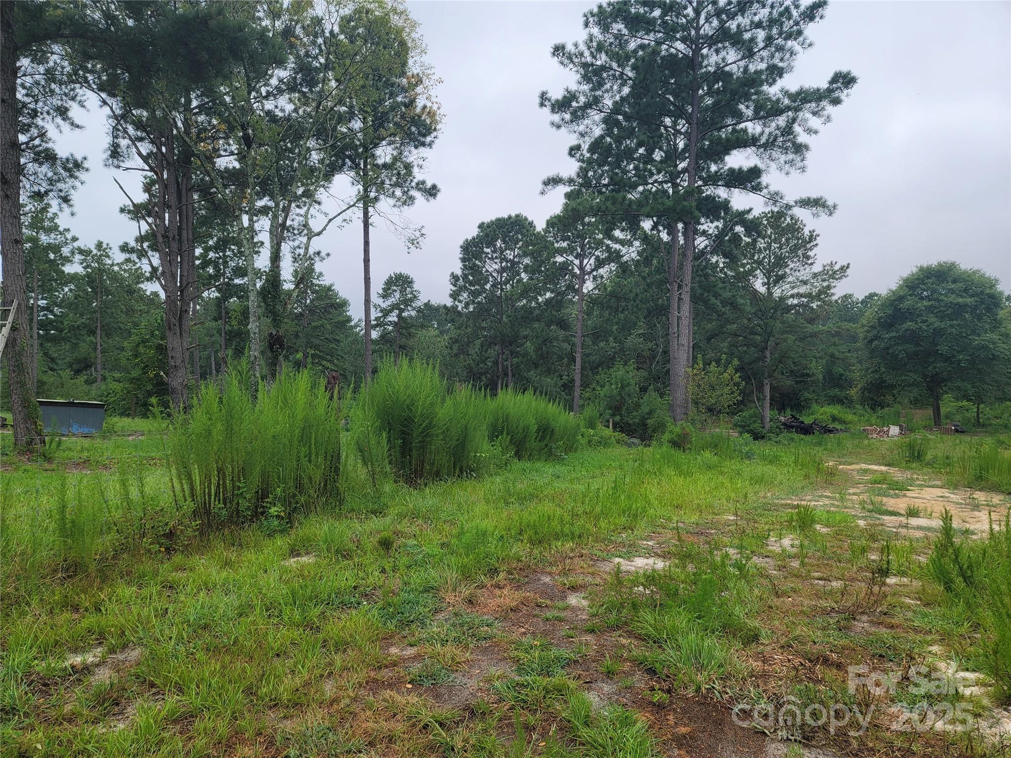 0 Windblow Road Property Photo 4