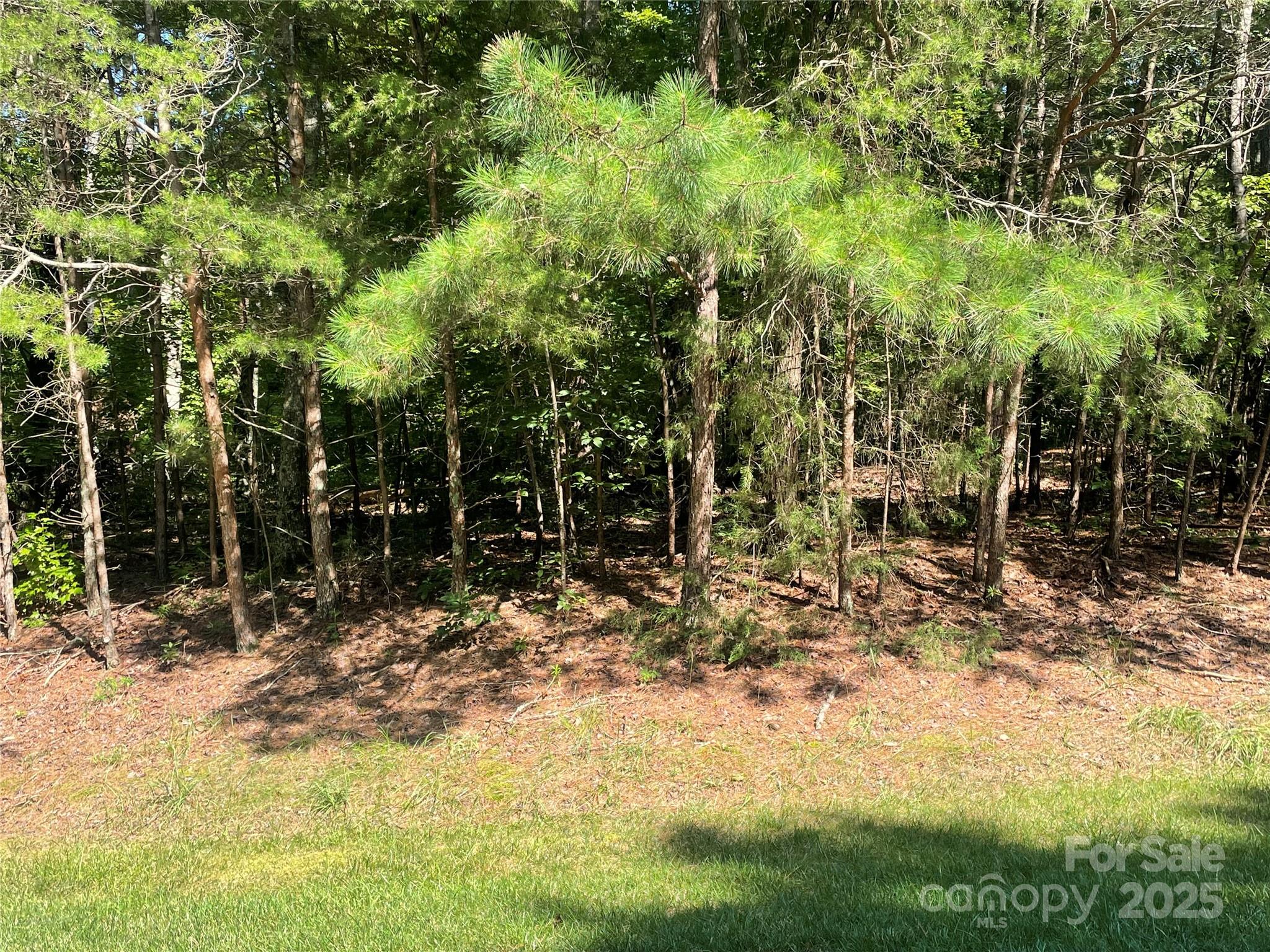 0 Whisper Lake Drive Property Photo 1