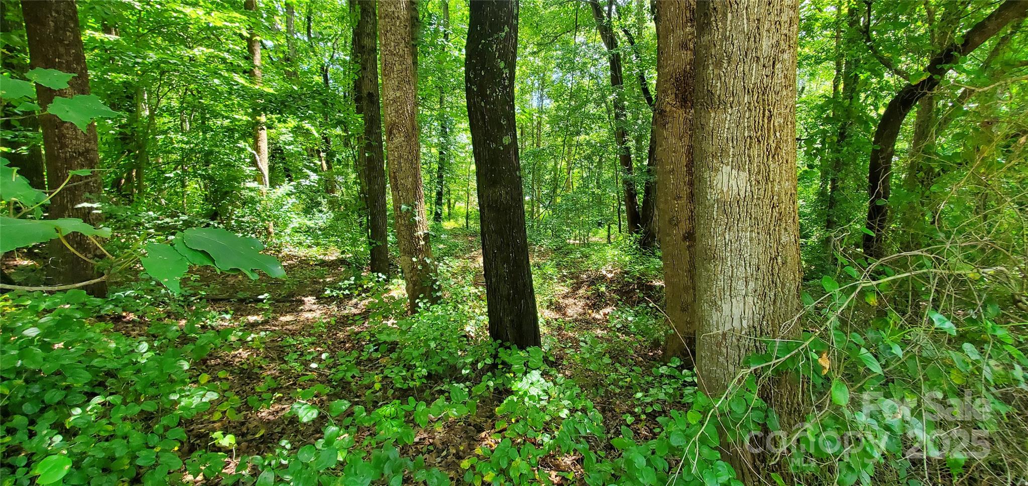 3939 Us 64 Highway 5 Property Photo 2