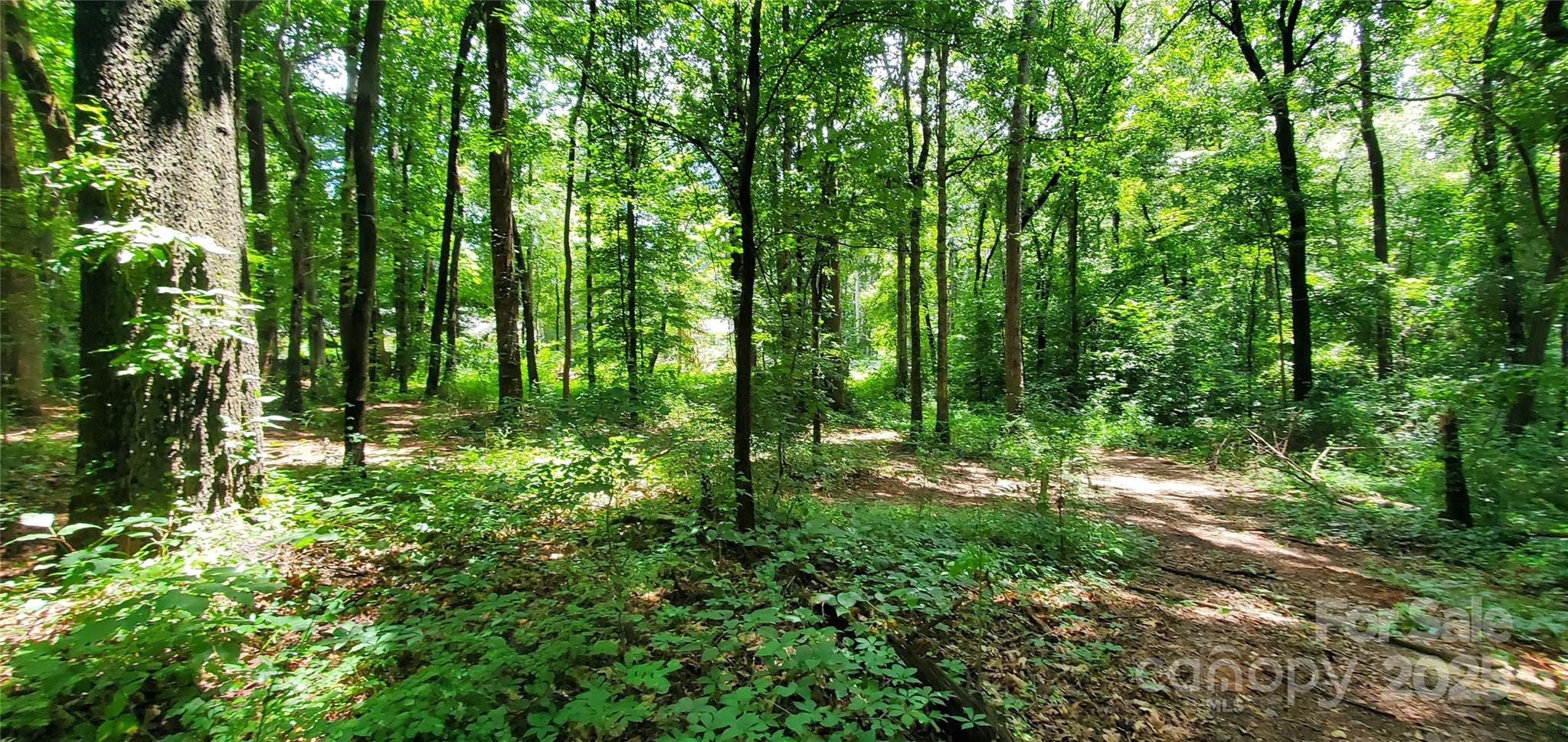 3929 Us 64 Highway 7 Property Photo 3