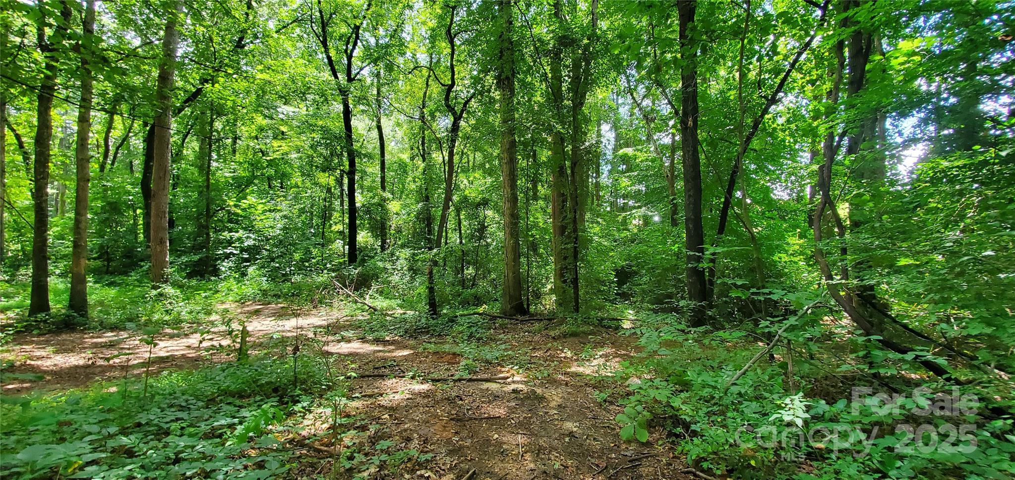3929 Us 64 Highway 7 Property Photo 4