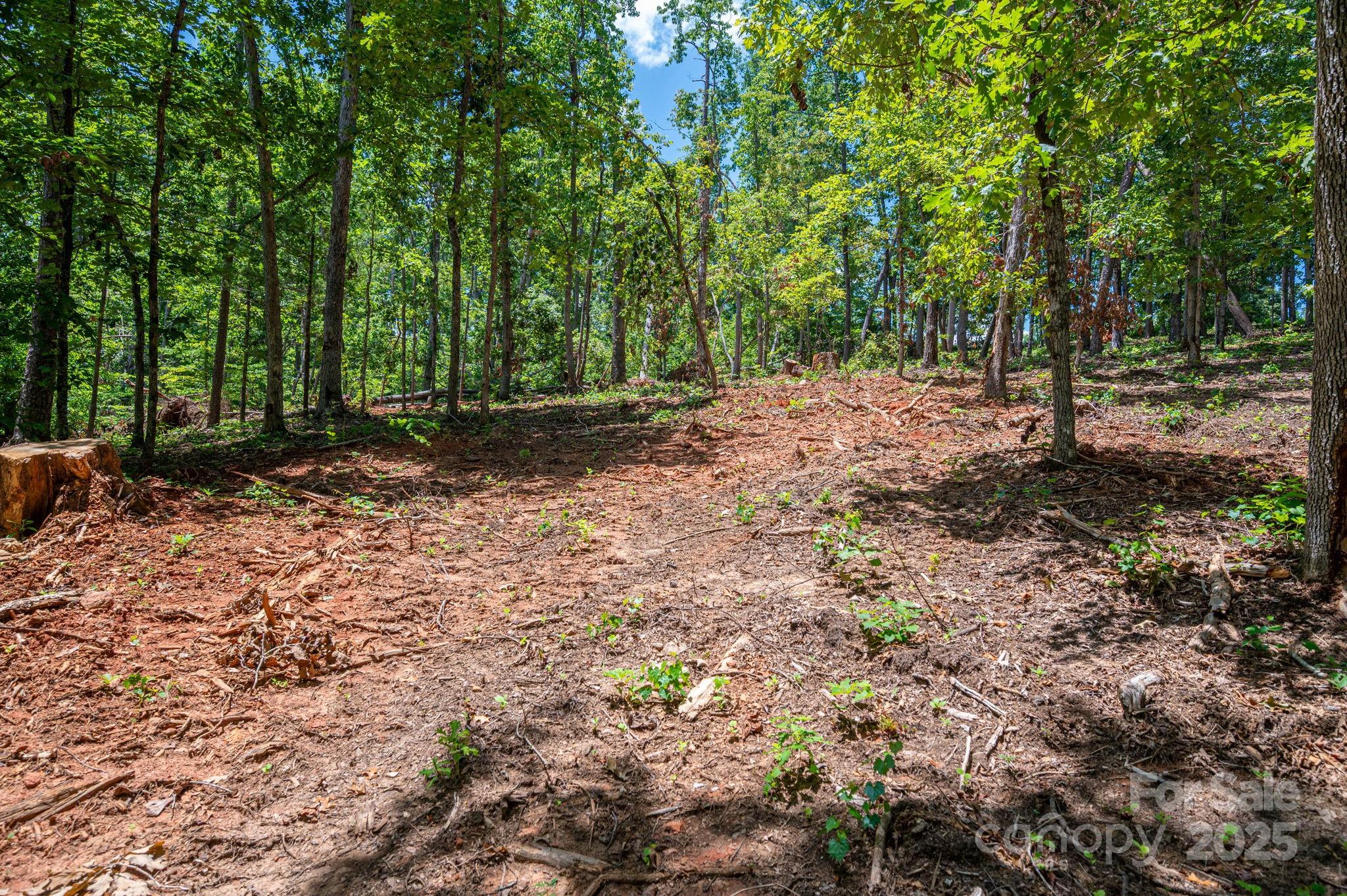 Lot 191 Plantation Drive Property Photo 14