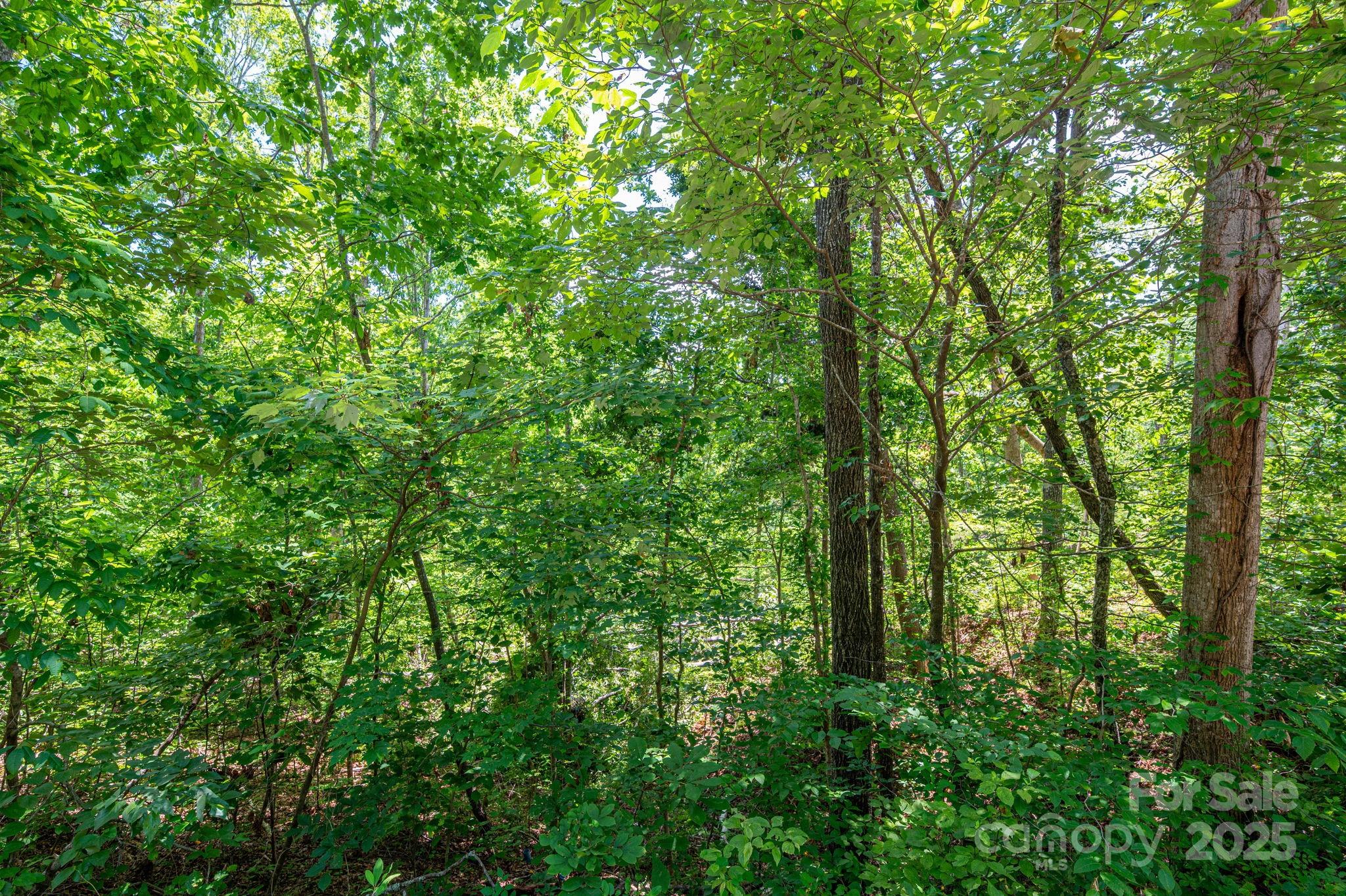 Lot 132 Plantation Drive Property Photo 3