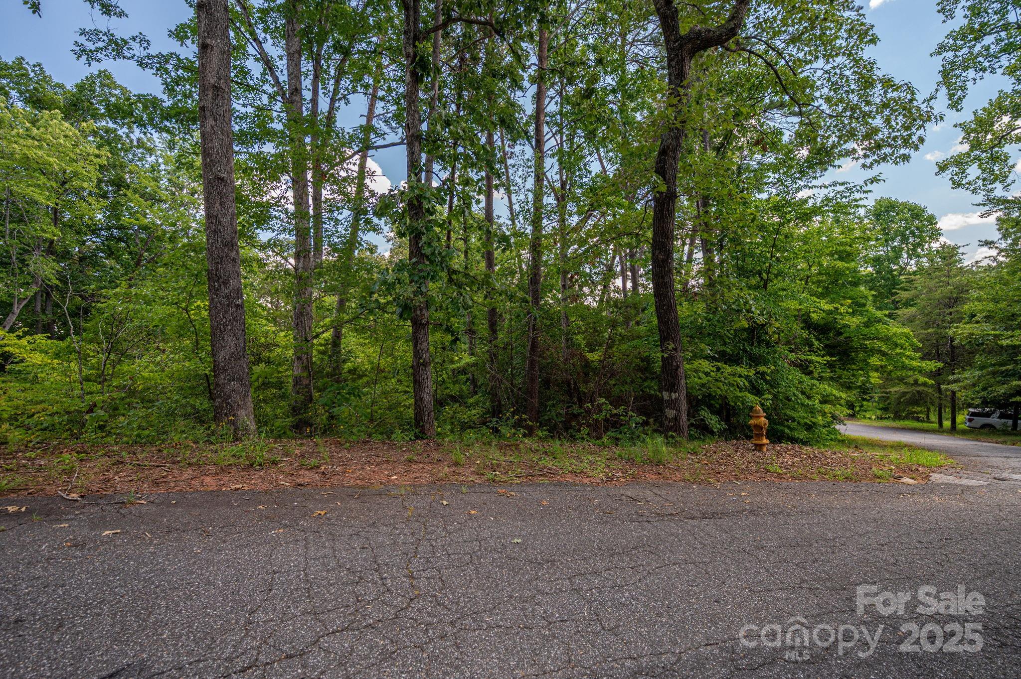 Lot 207 Plantation Drive Property Photo 1