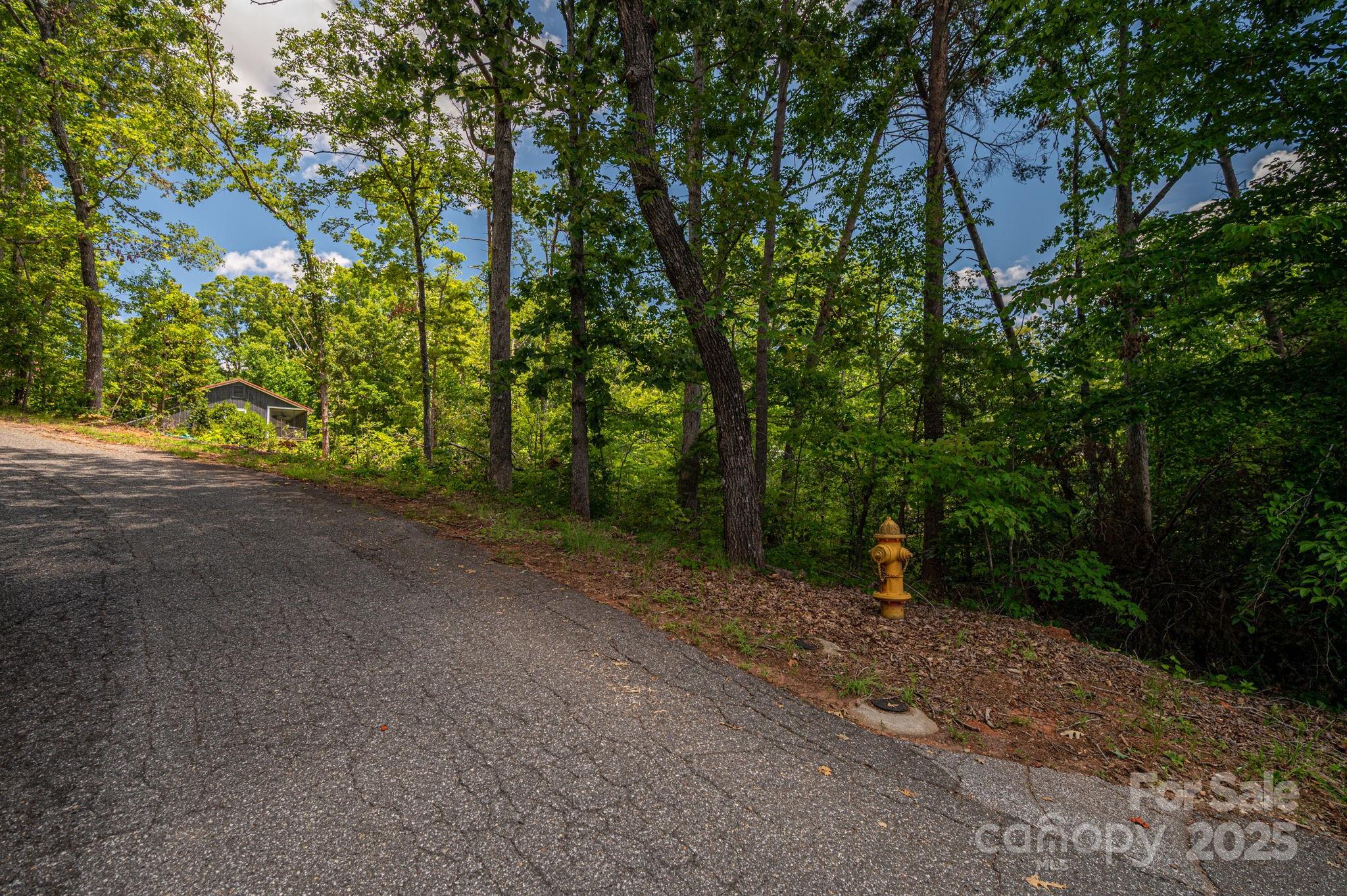 Lot 207 Plantation Drive Property Photo 9