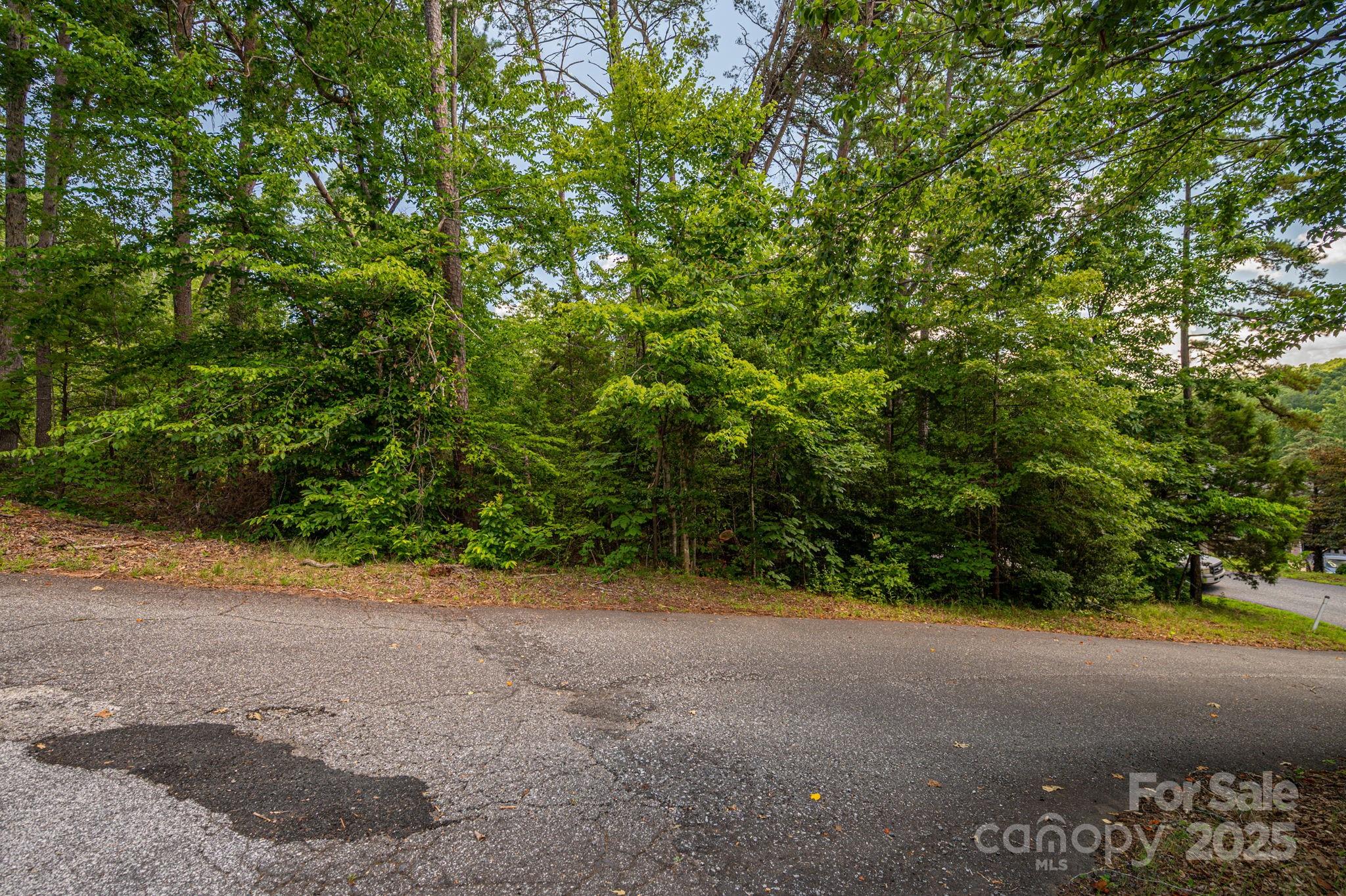 Lot 207 Plantation Drive Property Photo 10