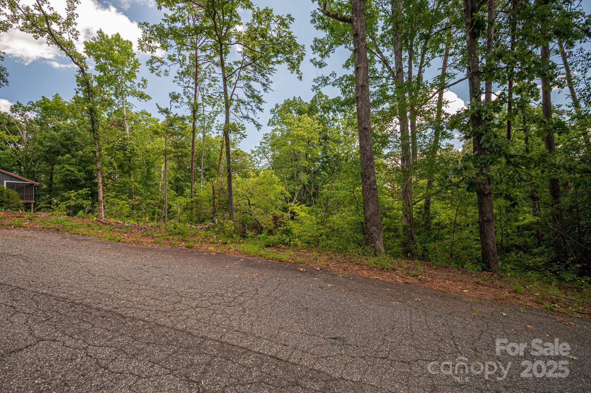 Lot 207 Plantation Drive Property Photo 11