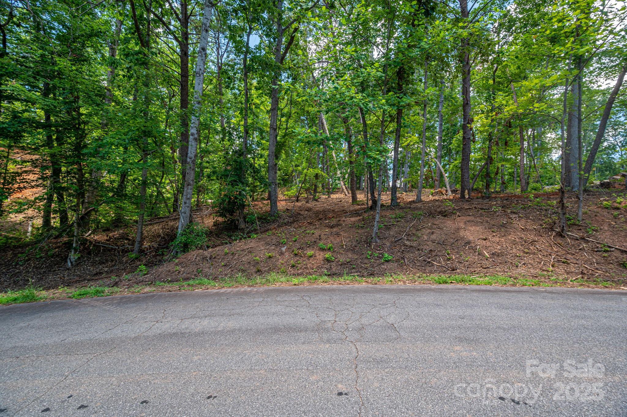 Lot 209 Plantation Drive Property Photo 10