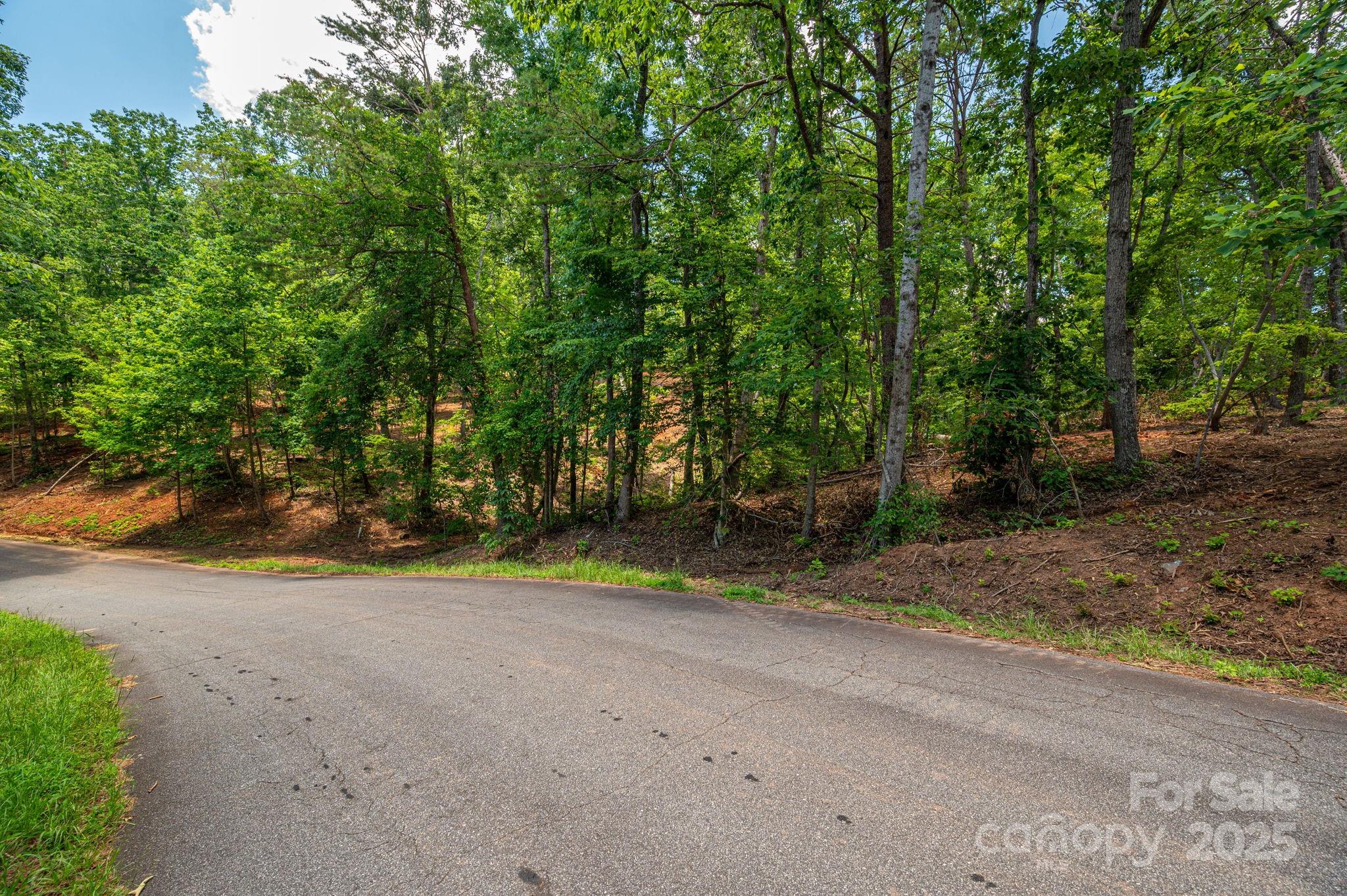 Lot 209 Plantation Drive Property Photo 11