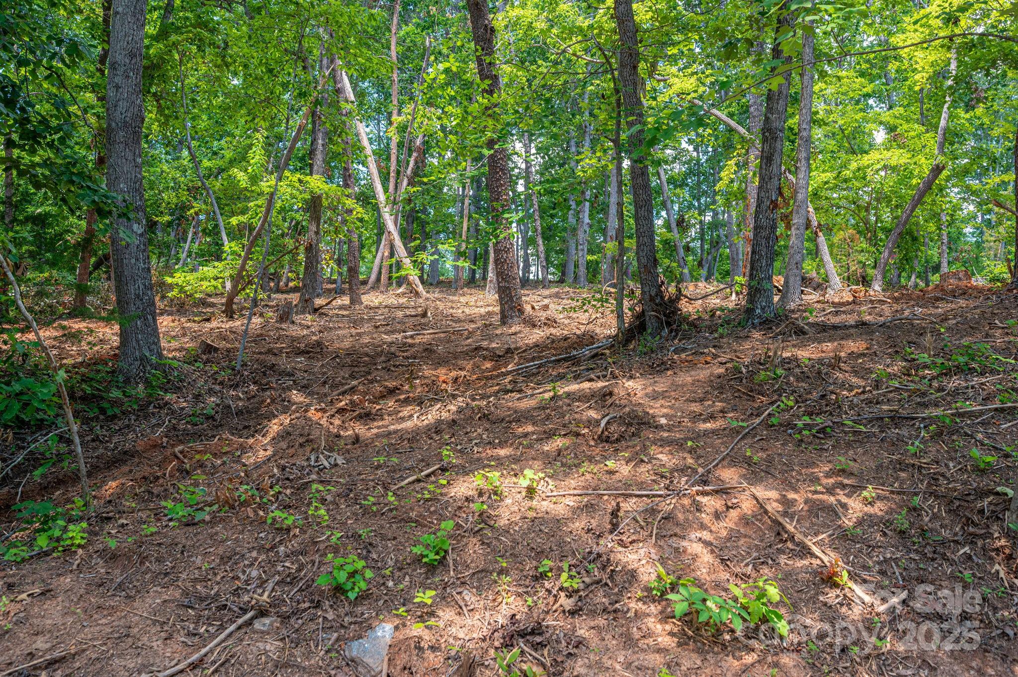 Lot 209 Plantation Drive Property Photo 12