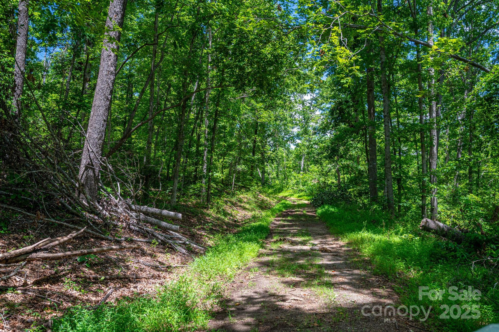 Lot 210 Plantation Drive Property Photo 2