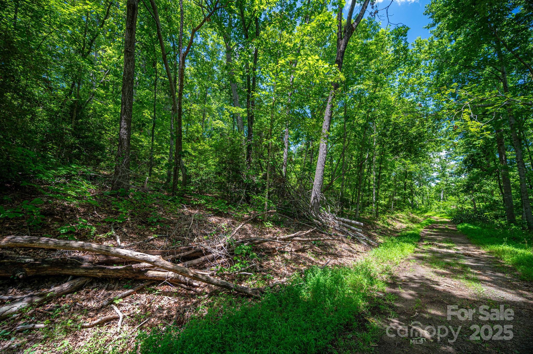 Lot 210 Plantation Drive Property Photo 5