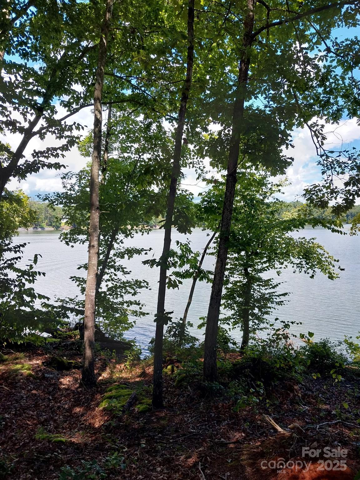 4083 Grays Peak Summit None 169 Property Photo 12