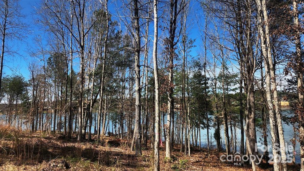 4083 Grays Peak Summit None 169 Property Photo 26