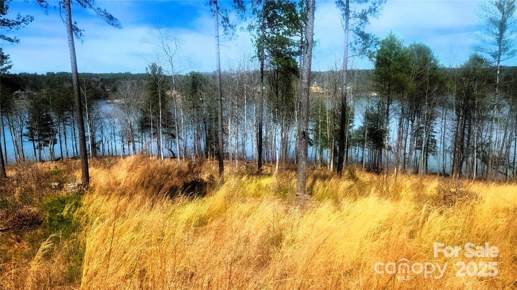 4083 Grays Peak Summit None 169 Property Photo 27