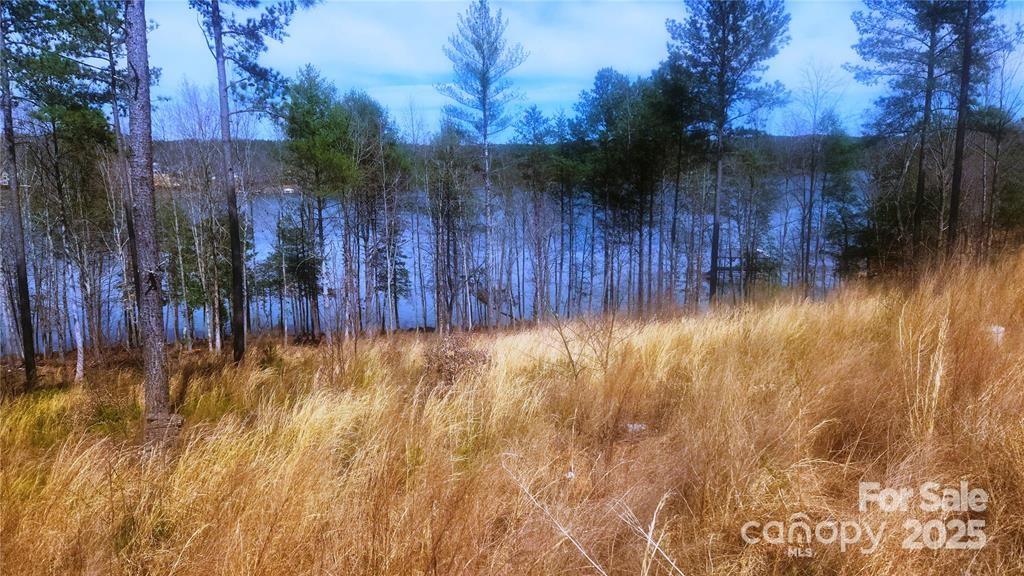 4083 Grays Peak Summit None 169 Property Photo 28