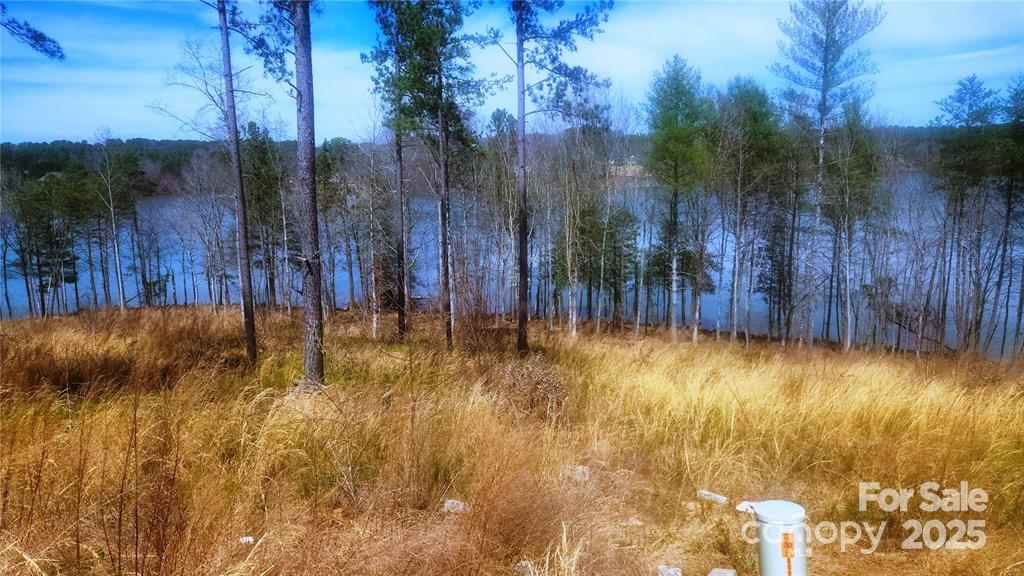 4083 Grays Peak Summit None 169 Property Photo 29