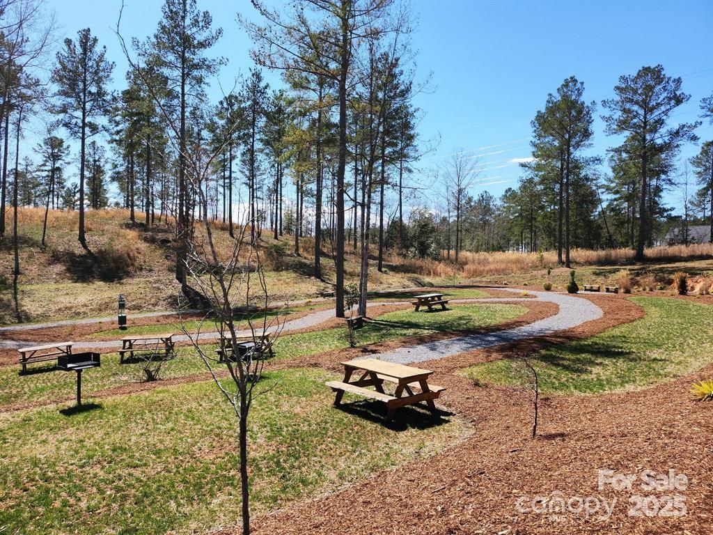 4083 Grays Peak Summit None 169 Property Photo 37