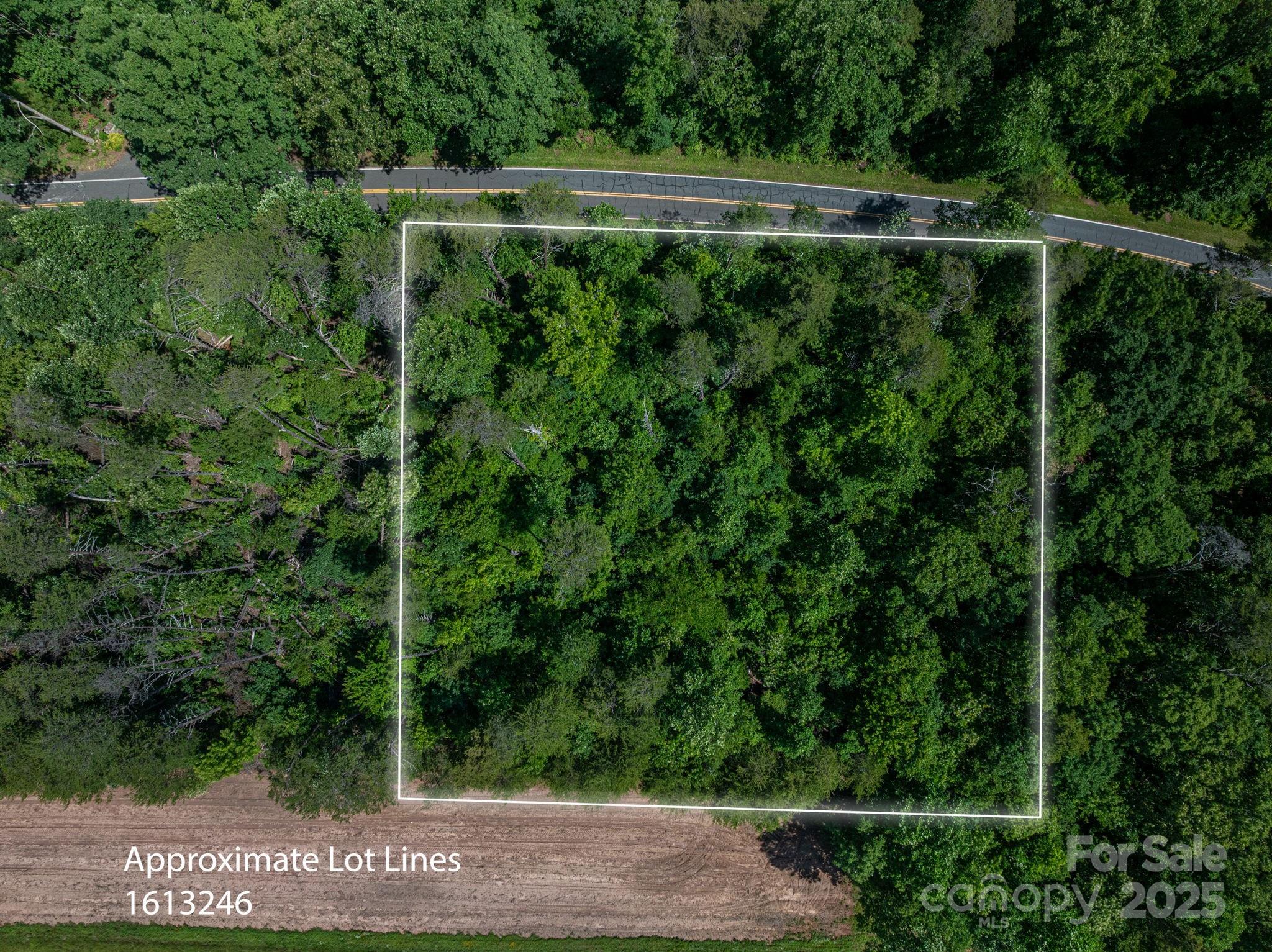 Lot 2 Cleghorn Mill Road Property Photo 2