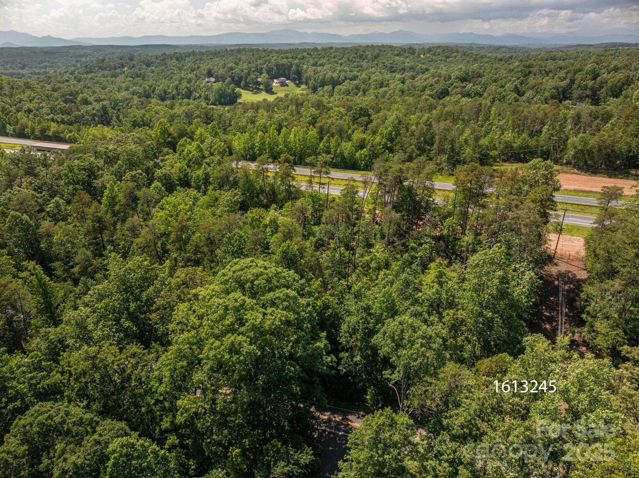 Lot 1 Cleghorn Mill Road Property Photo 3