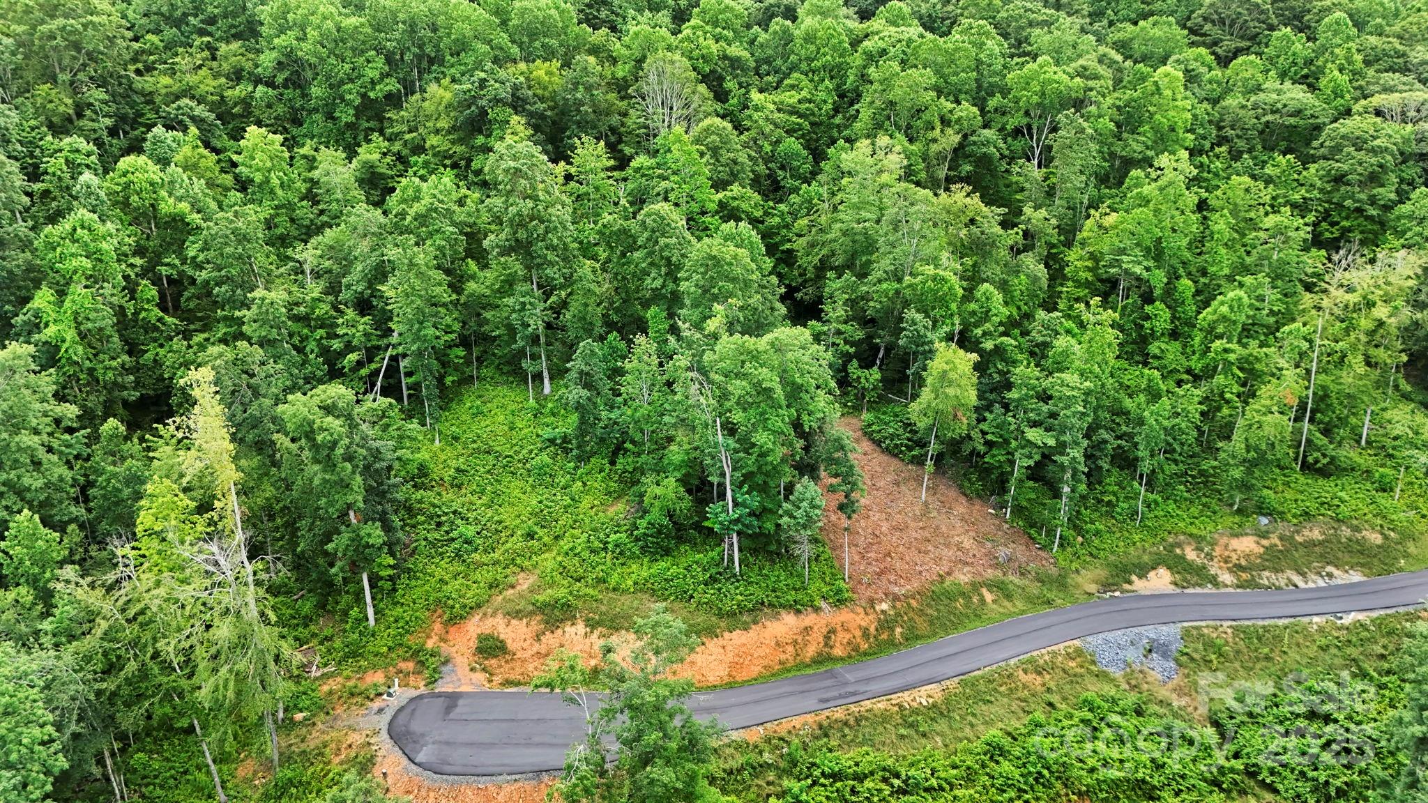 Lot 27 Summit View Parkway Property Photo 7