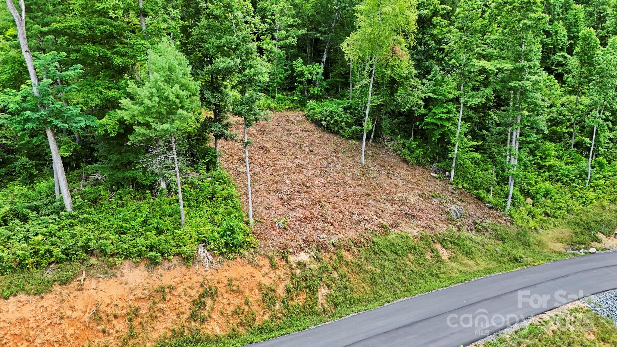 Lot 27 Summit View Parkway Property Photo 12