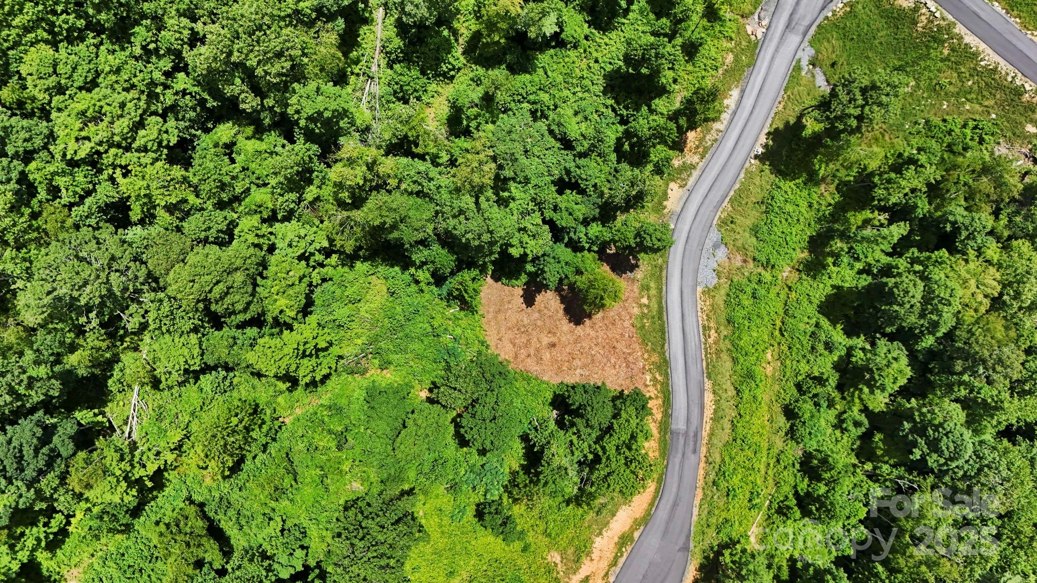 Lot 27 Summit View Parkway Property Photo 13