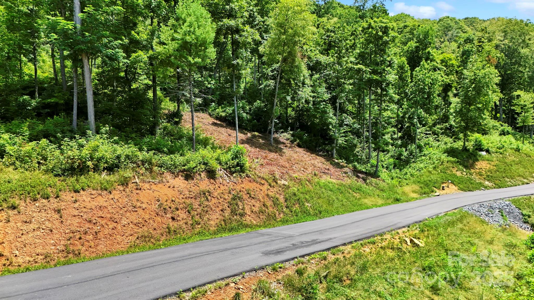 Lot 27 Summit View Parkway Property Photo 14