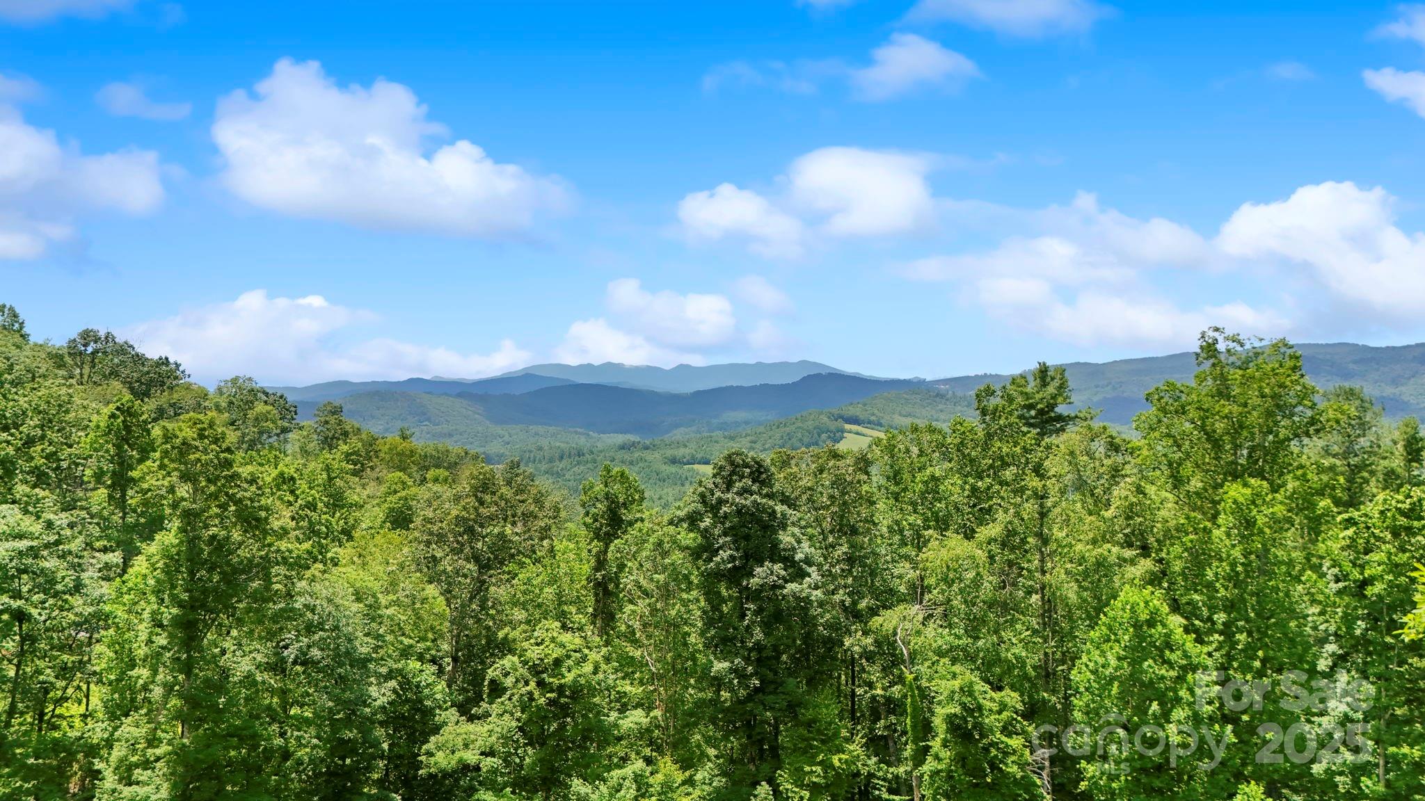 Lot 27 Summit View Parkway Property Photo 16