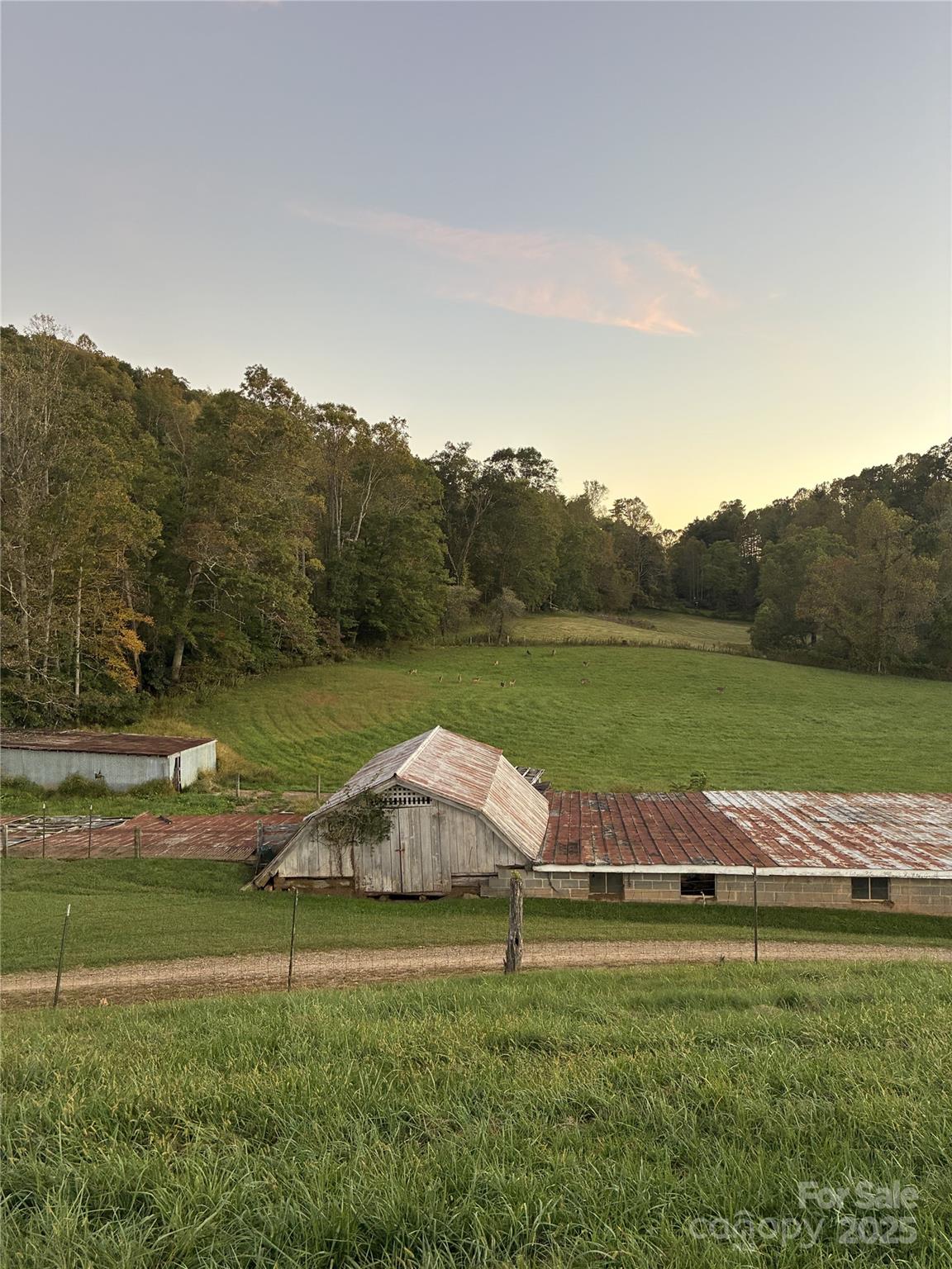 1305 Halltown Road Property Photo 30