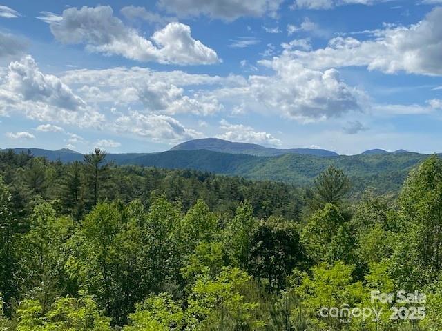 241 Peppervine Circle Property Photo 1