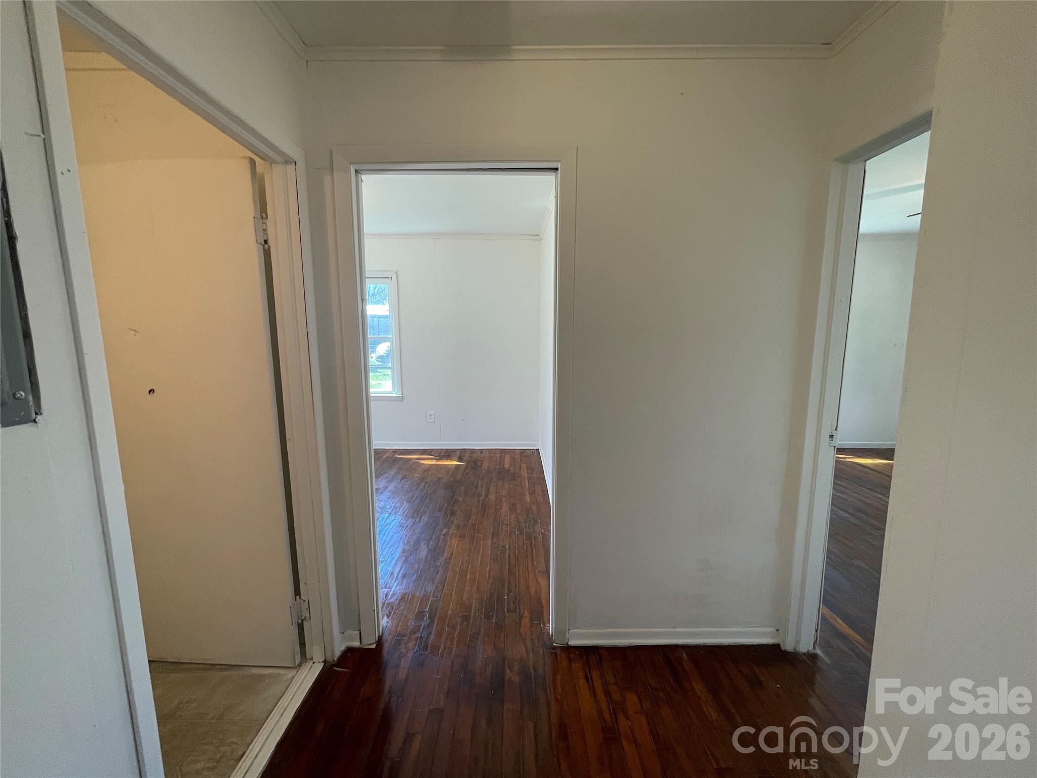 51 Robinson Street Property Photo 16