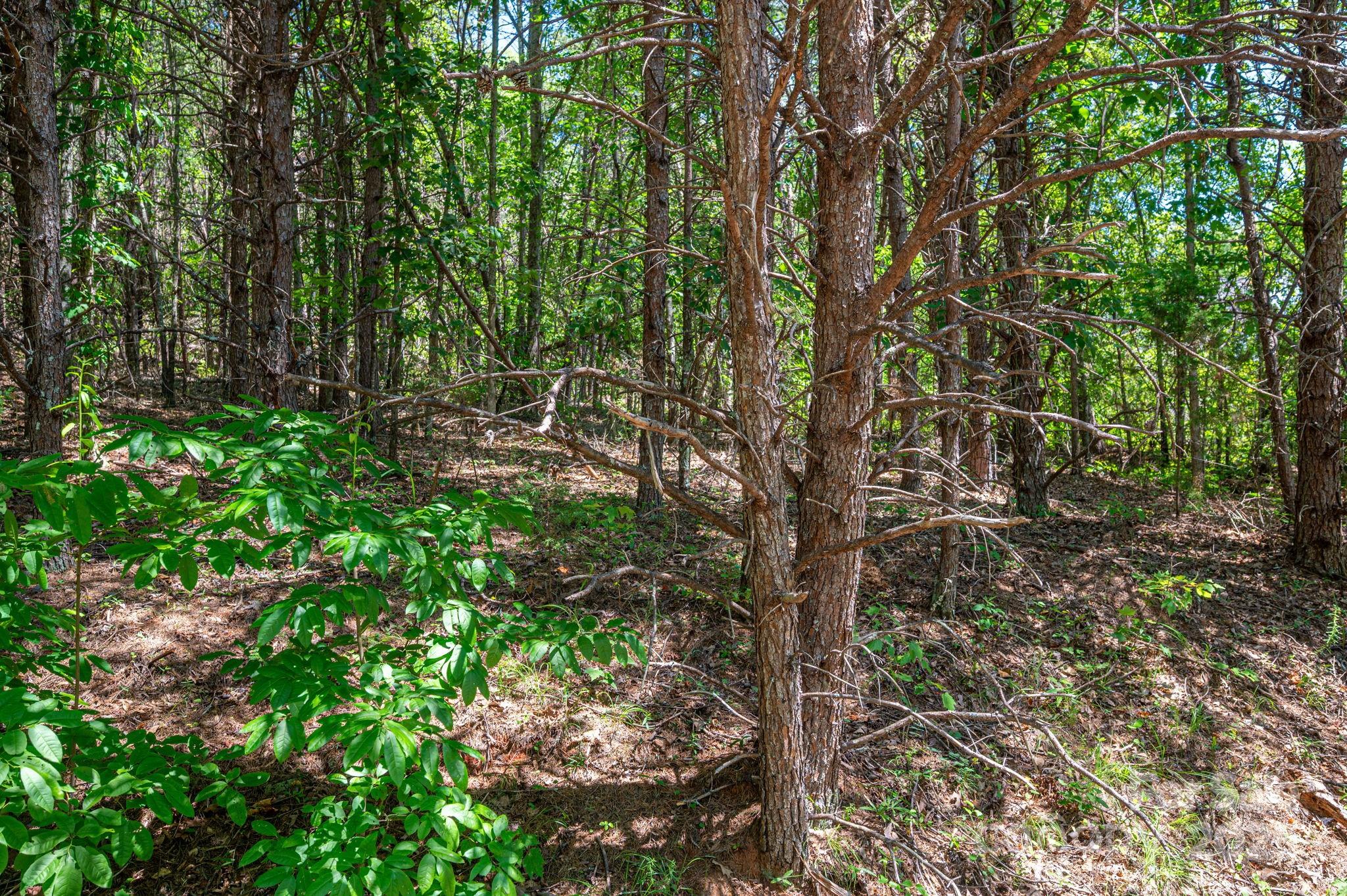 Lot 12 Meadow Crossing Drive Property Photo 1