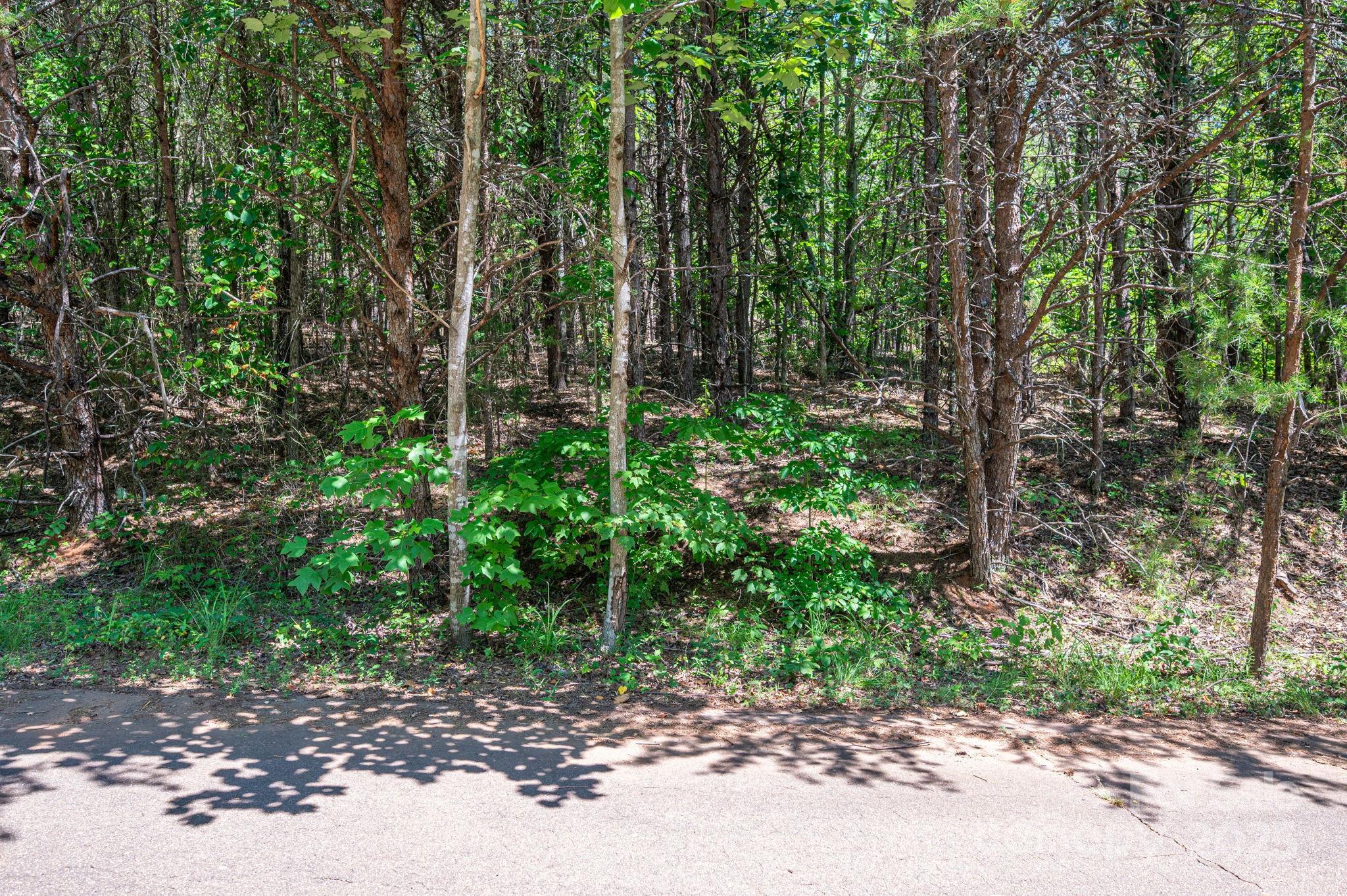 Lot 12 Meadow Crossing Drive Property Photo 12