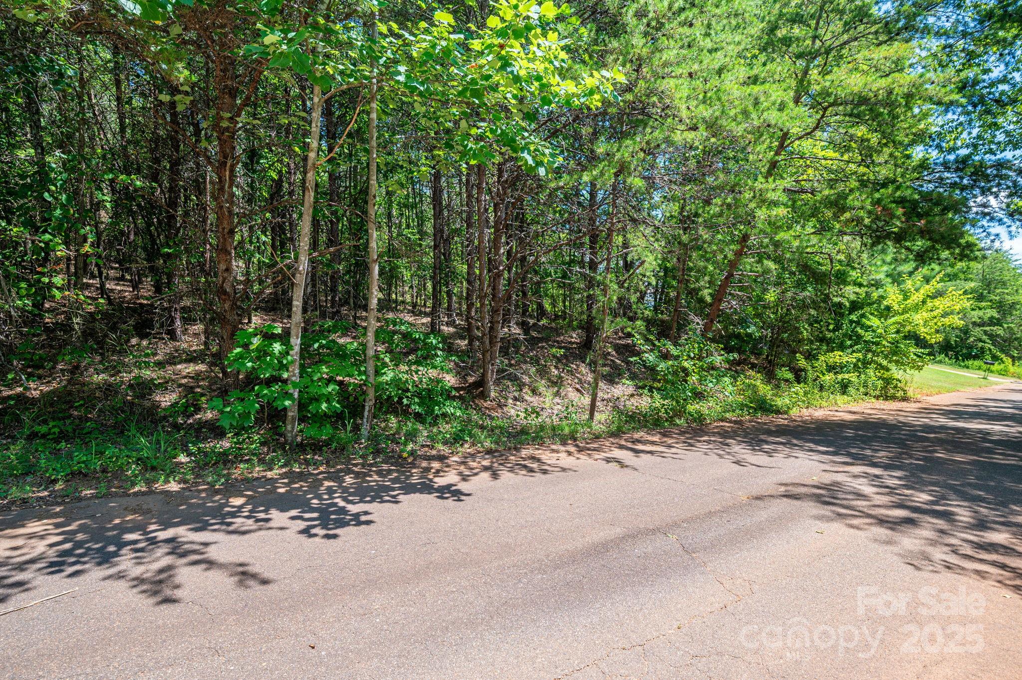 Lot 12 Meadow Crossing Drive Property Photo 16