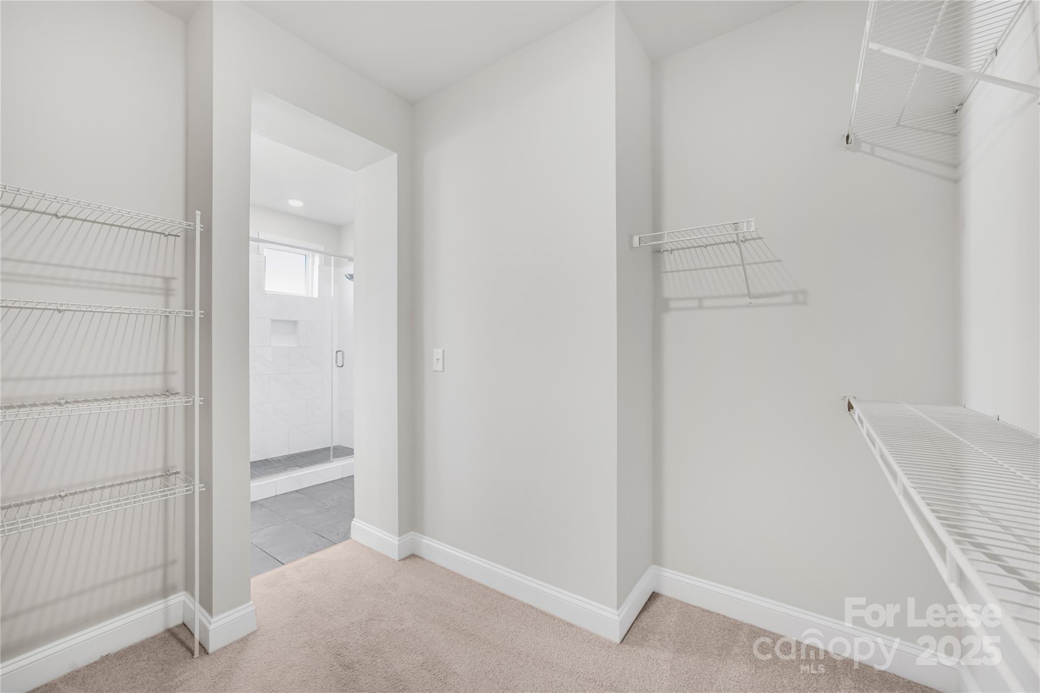 6319 Southgrove Street Property Photo 10