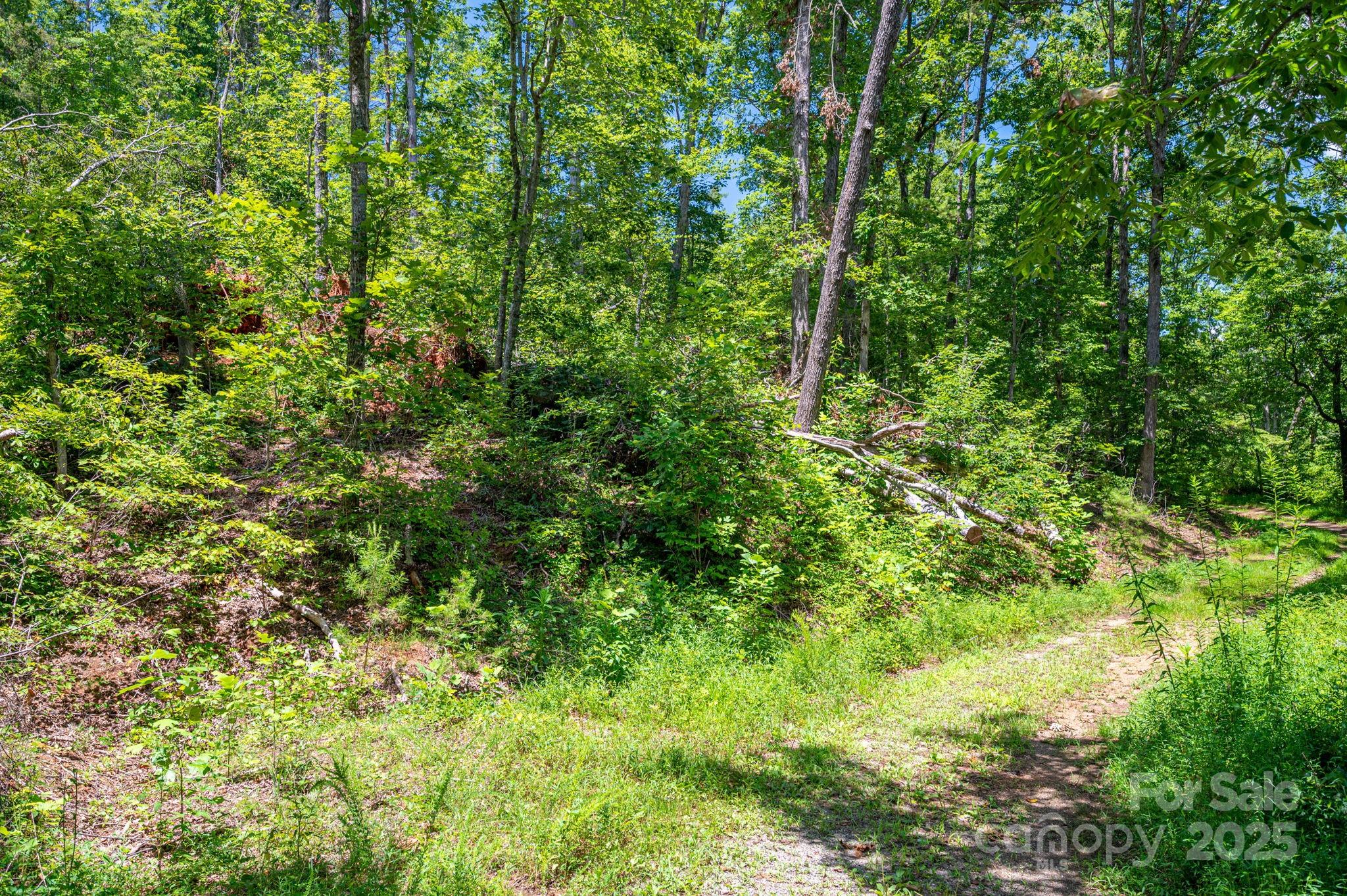 Lot 221 Plantation Drive Property Photo 1