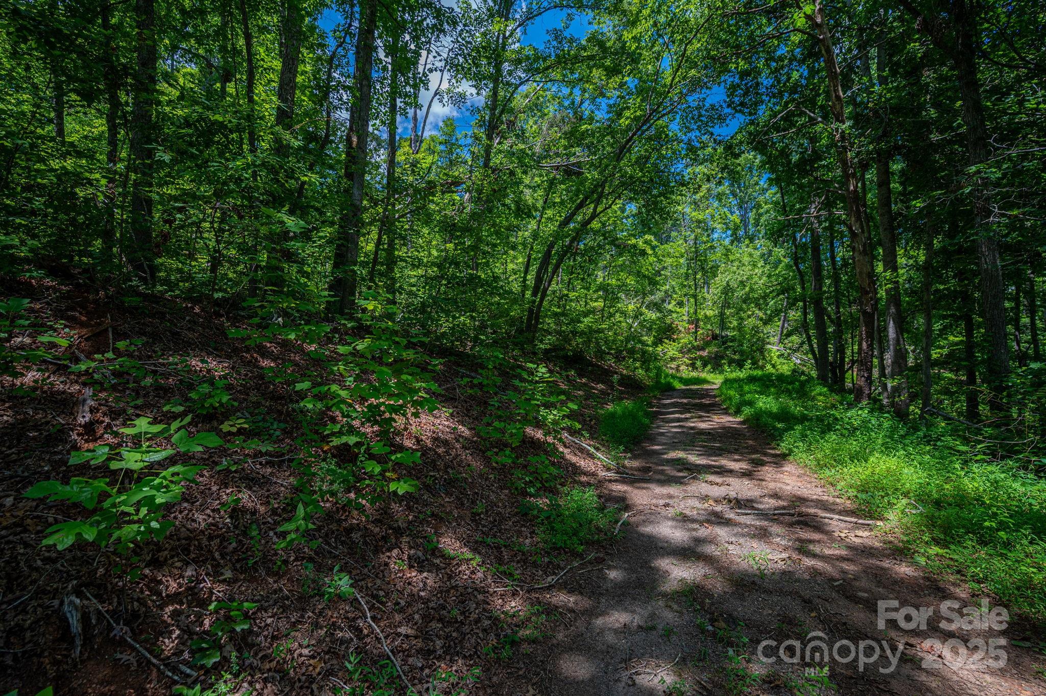 Lot 221 Plantation Drive Property Photo 2