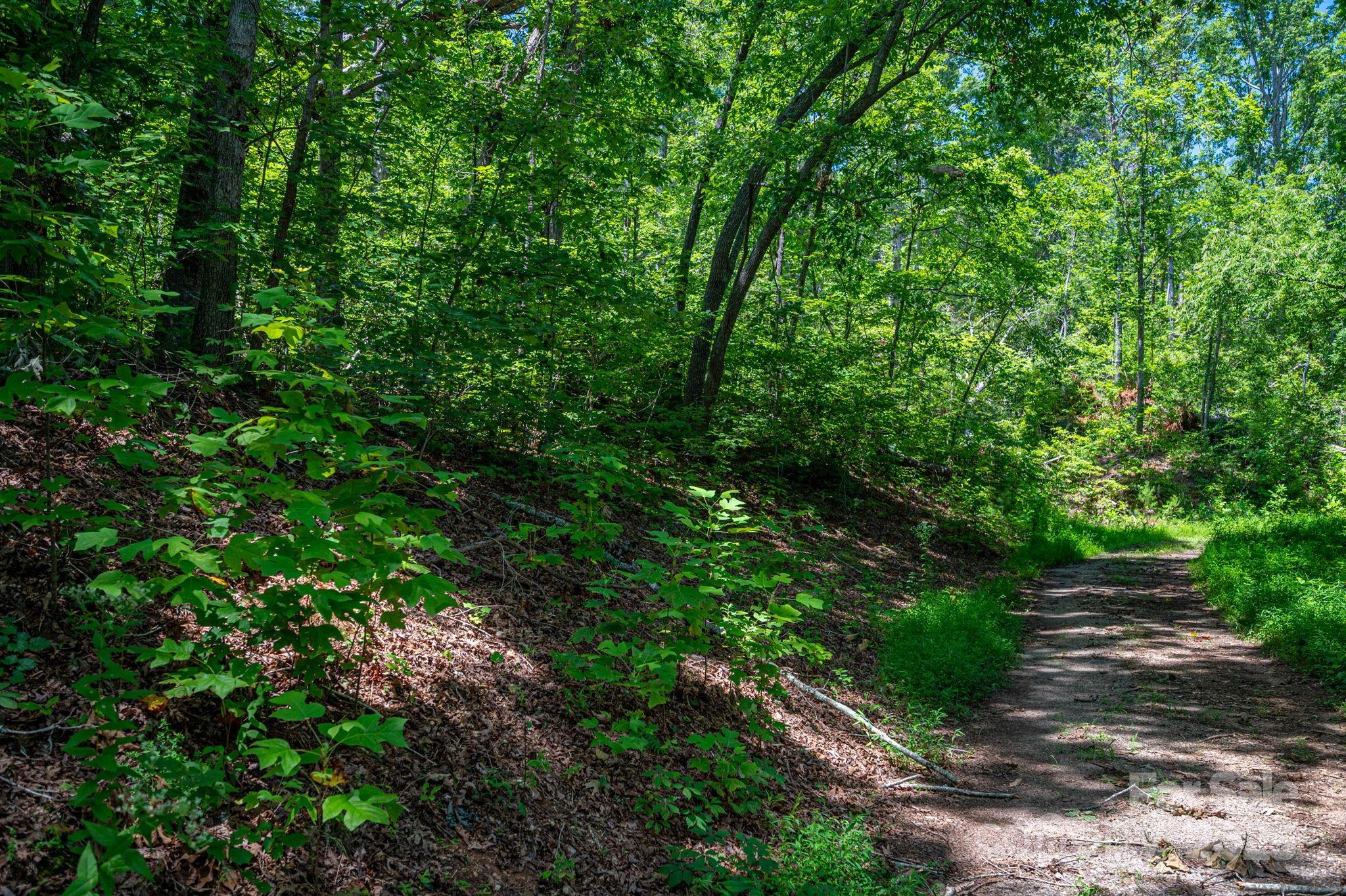 Lot 221 Plantation Drive Property Photo 3