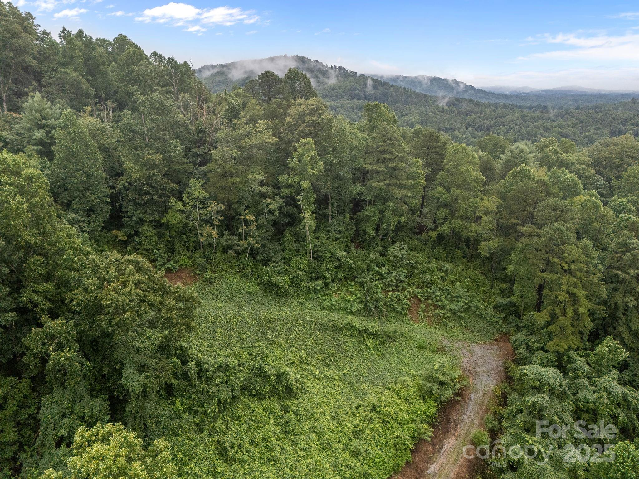 111 Stirling Lane Property Photo 7