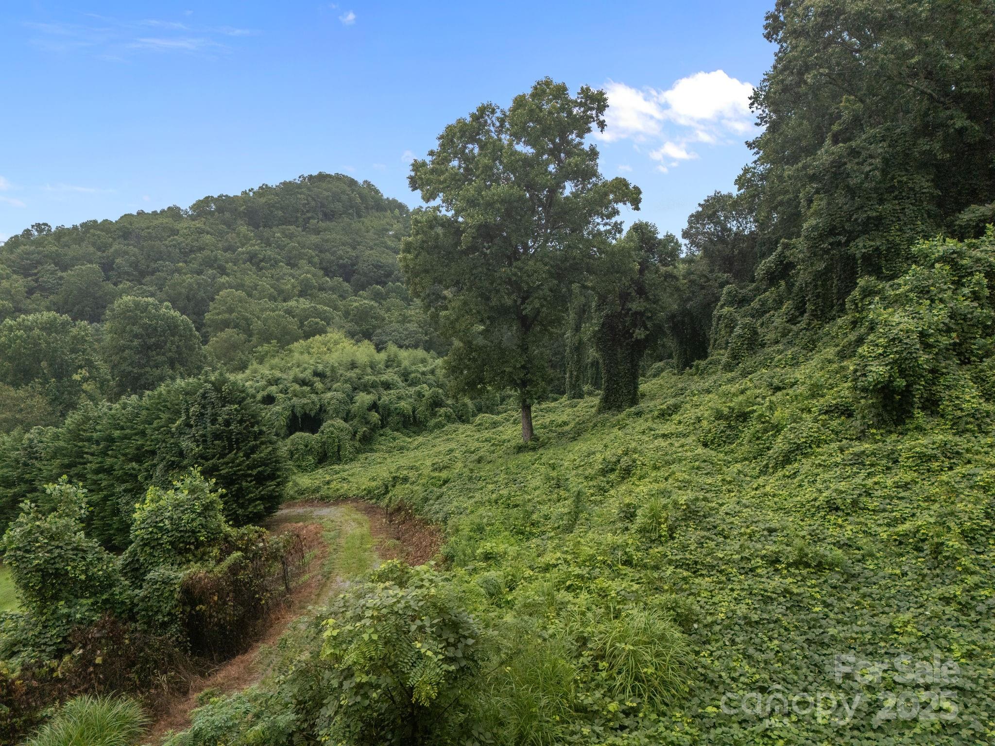 111 Stirling Lane Property Photo 12