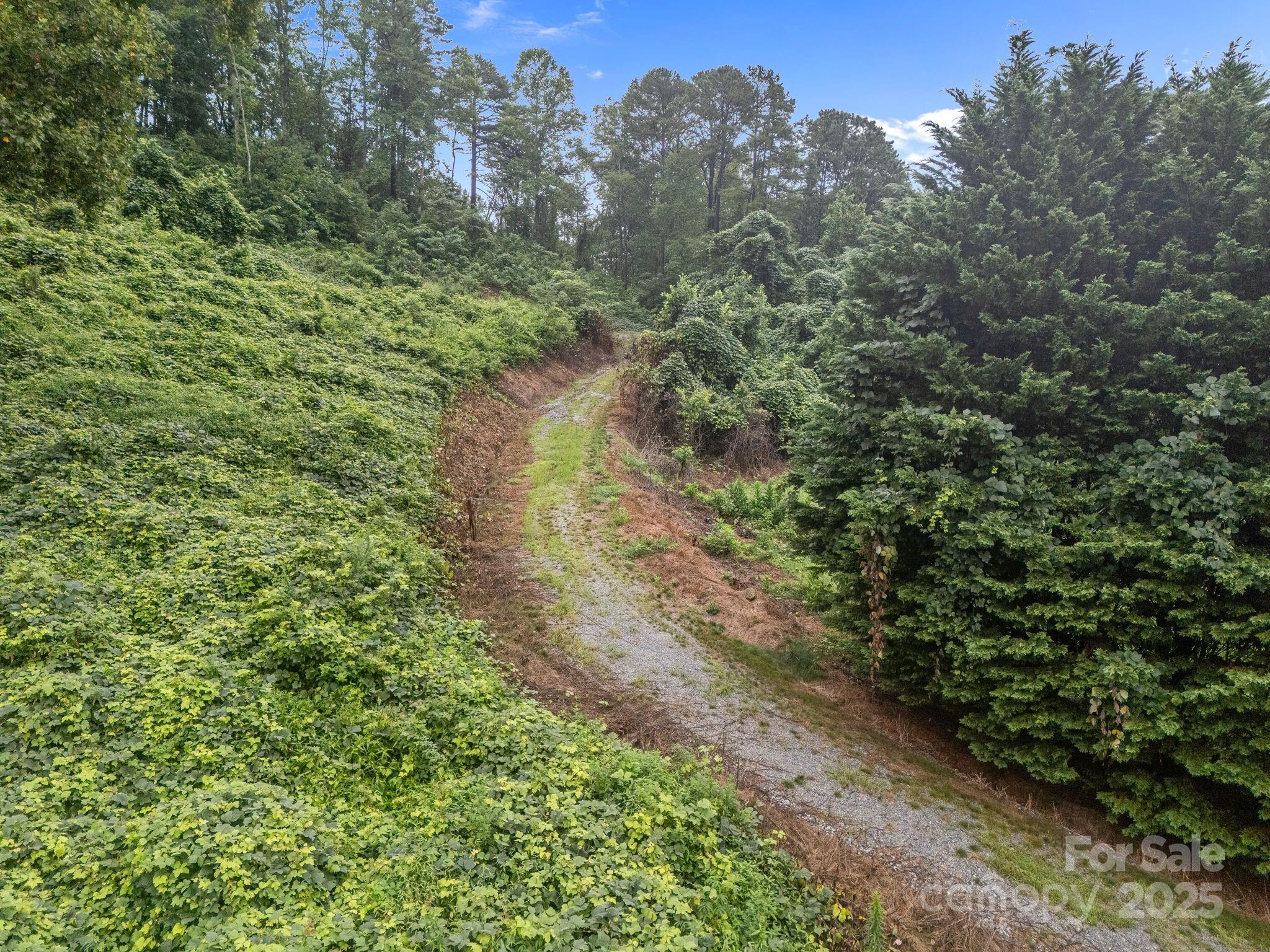 111 Stirling Lane Property Photo 16